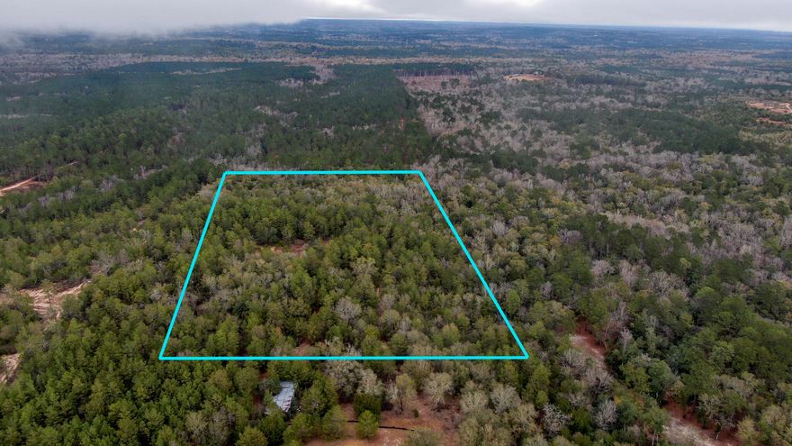 Need Acreage? Private and Secluded. This beautiful 20 Acre tract is in a highly desirable location. This wooded tract is just a short drive from Freeport and DeFuniak Springs and within 30 min of the Panama City Beach Airport. This UNRESTRICTED vacant tract is wooded and ready for you! Build your dream home and barn for your livestock! Horses are welcome here! This property is ready for you and located within 40 minutes of Pier Park and the Beaches of South Walton! If you need somewhere to build a barn and store your horses, this is it! Don't delay, it won't last long! NOTE***You must have an agent with you to view and enter this property. It is surrounded by large acreage and there is active hunting in the area. Call for your tour today!