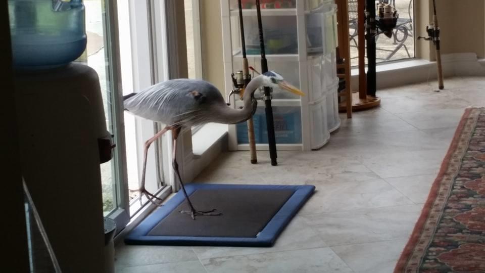 MORENO ACRES S/D - Residential