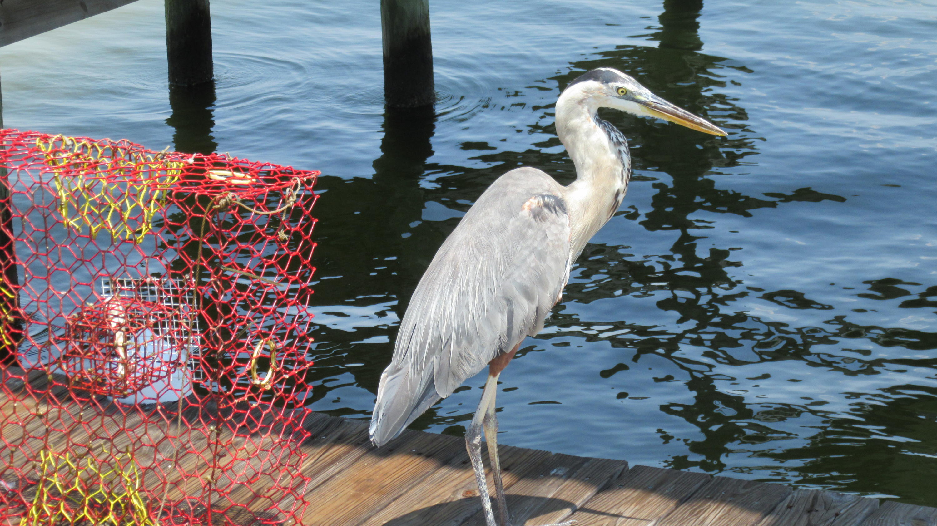 MORENO ACRES S/D - Residential