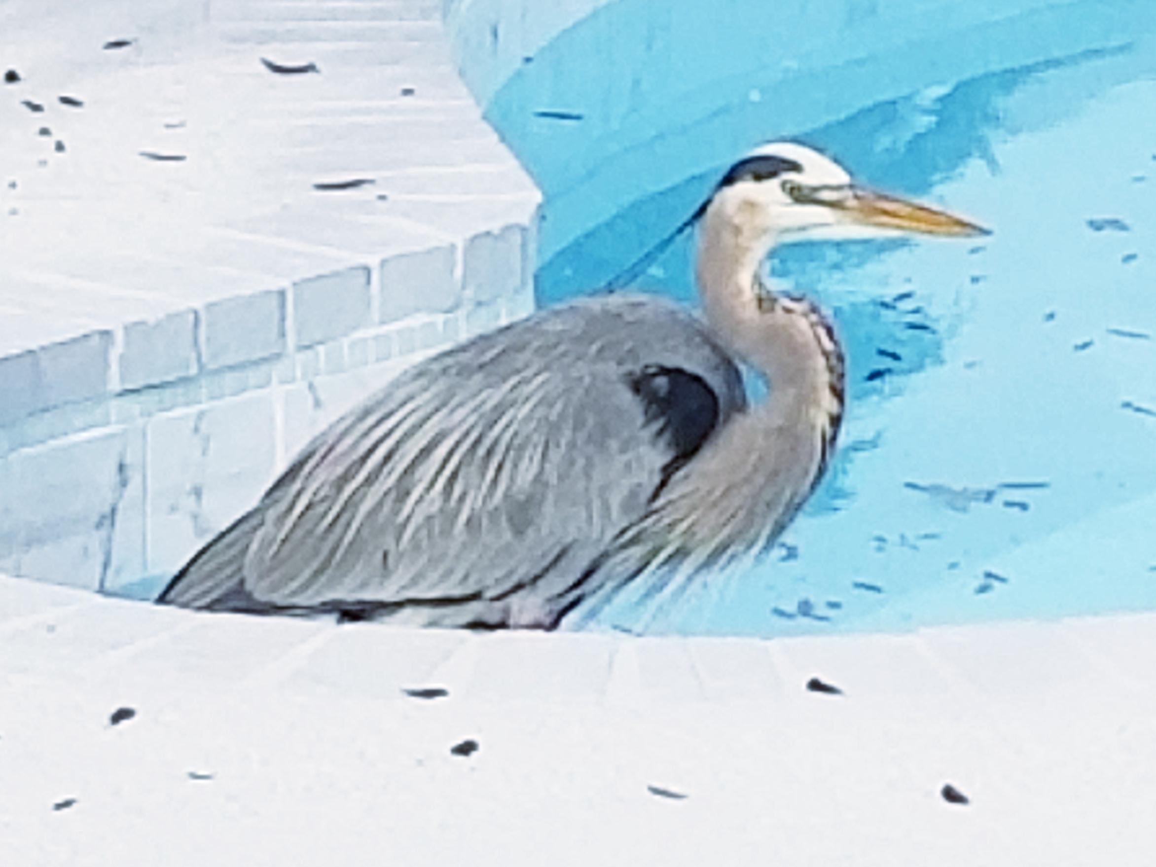 MORENO ACRES S/D - Residential