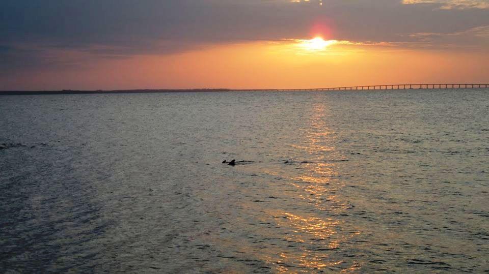 MORENO ACRES S/D - Residential