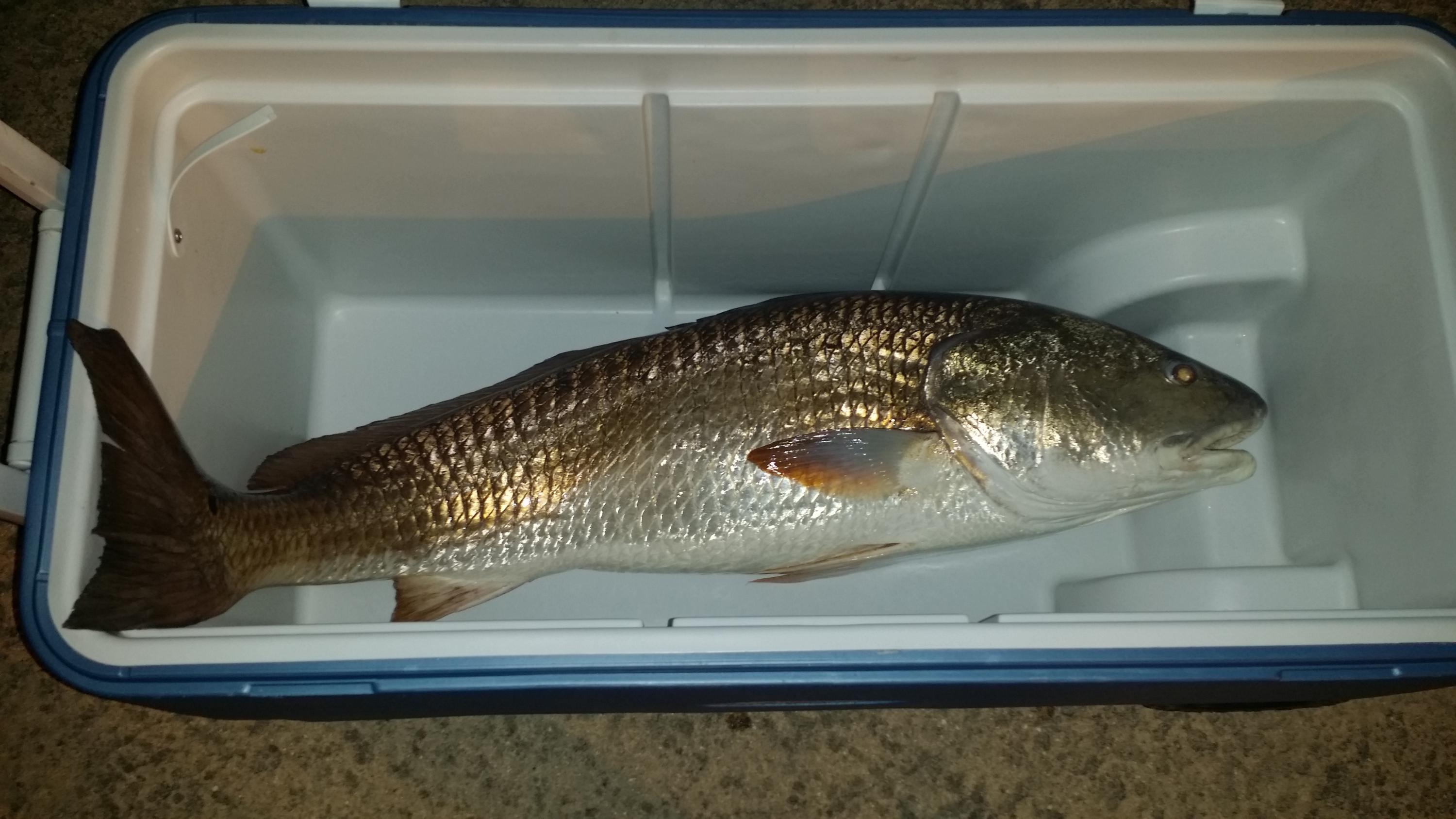 MORENO ACRES S/D - Residential