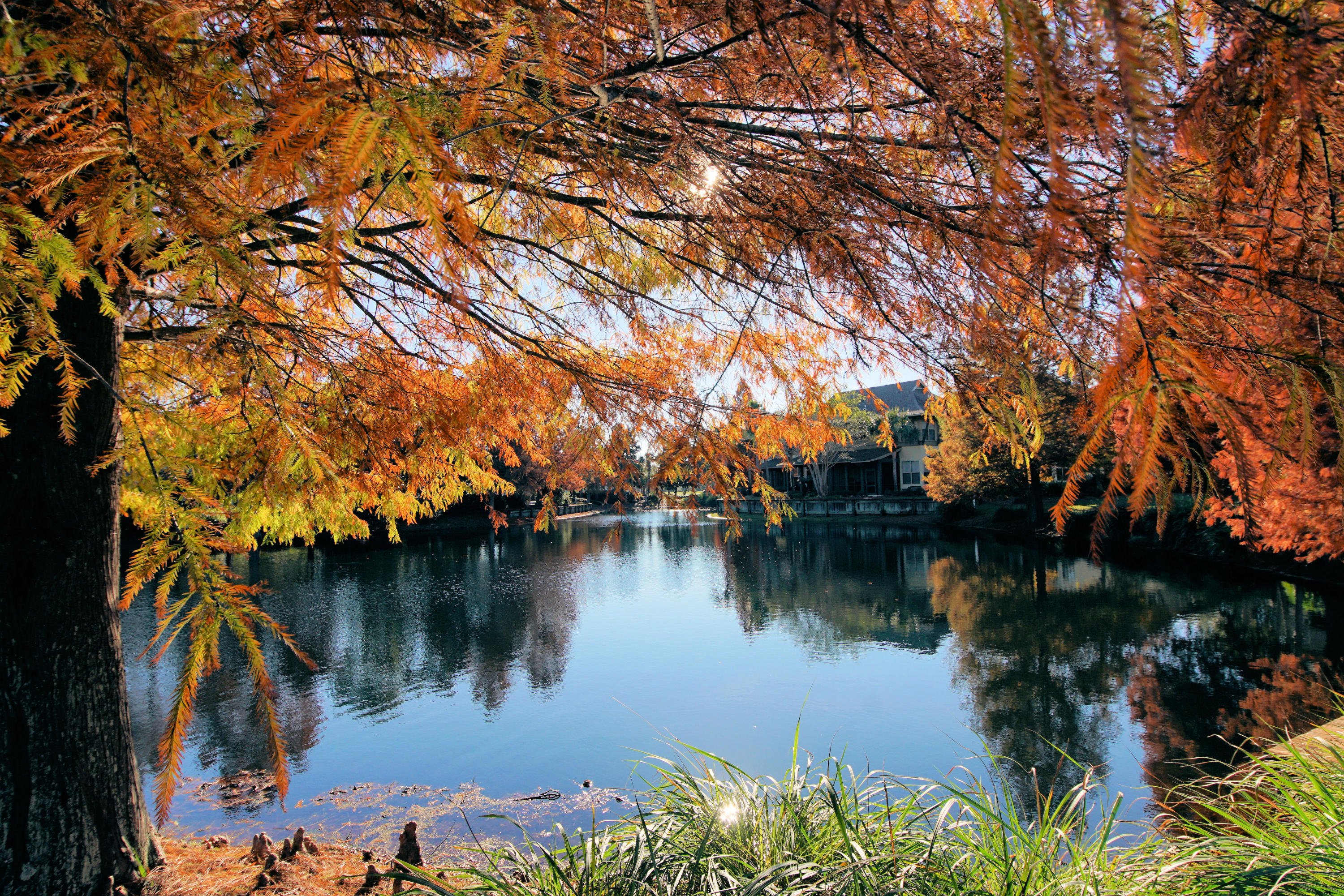 MAGNOLIA BAY - Residential