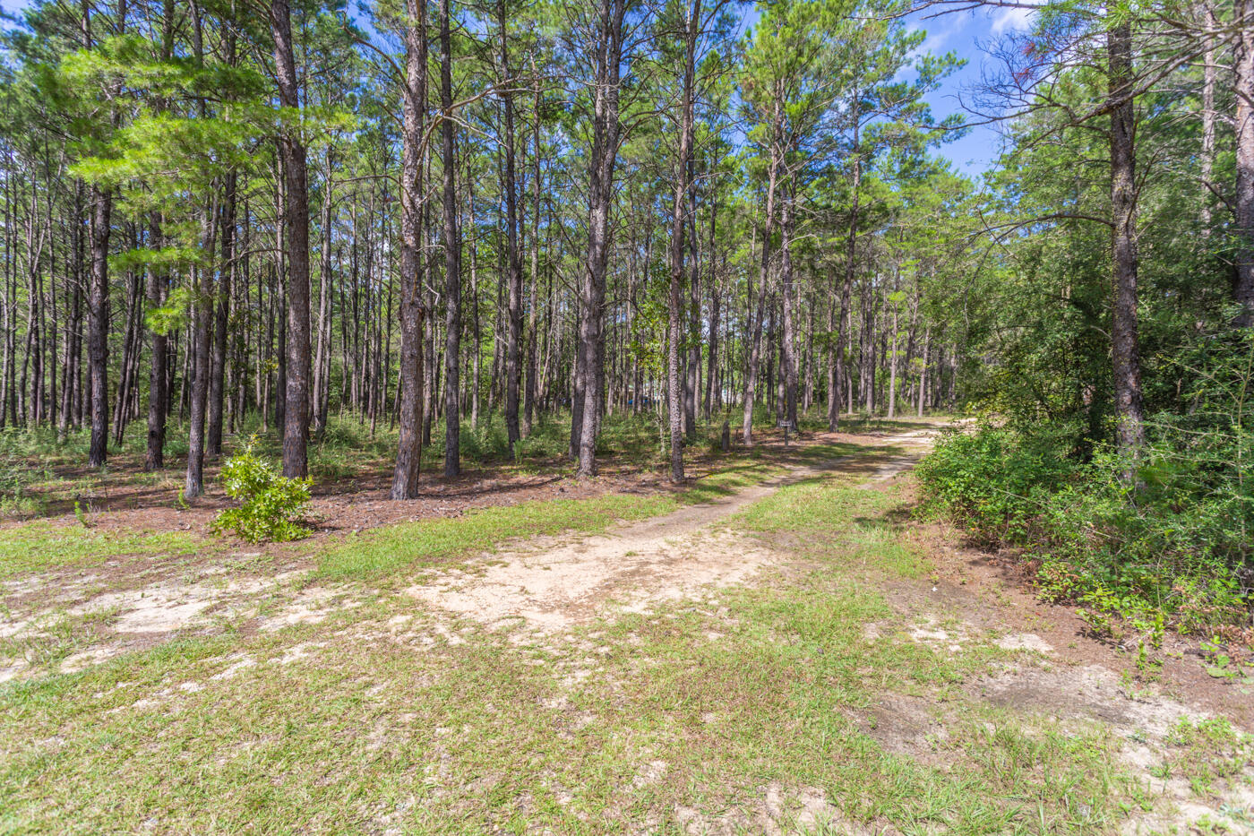 Meets and Bounds - Residential