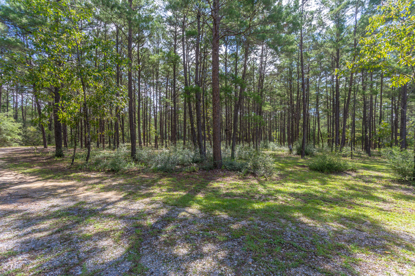 Meets and Bounds - Residential