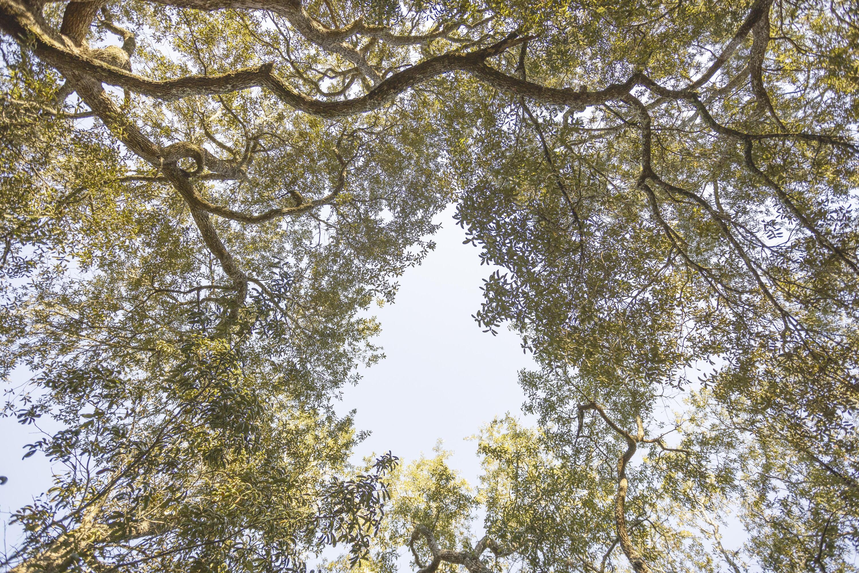 PISCES COVE 2ND ADDN - Residential