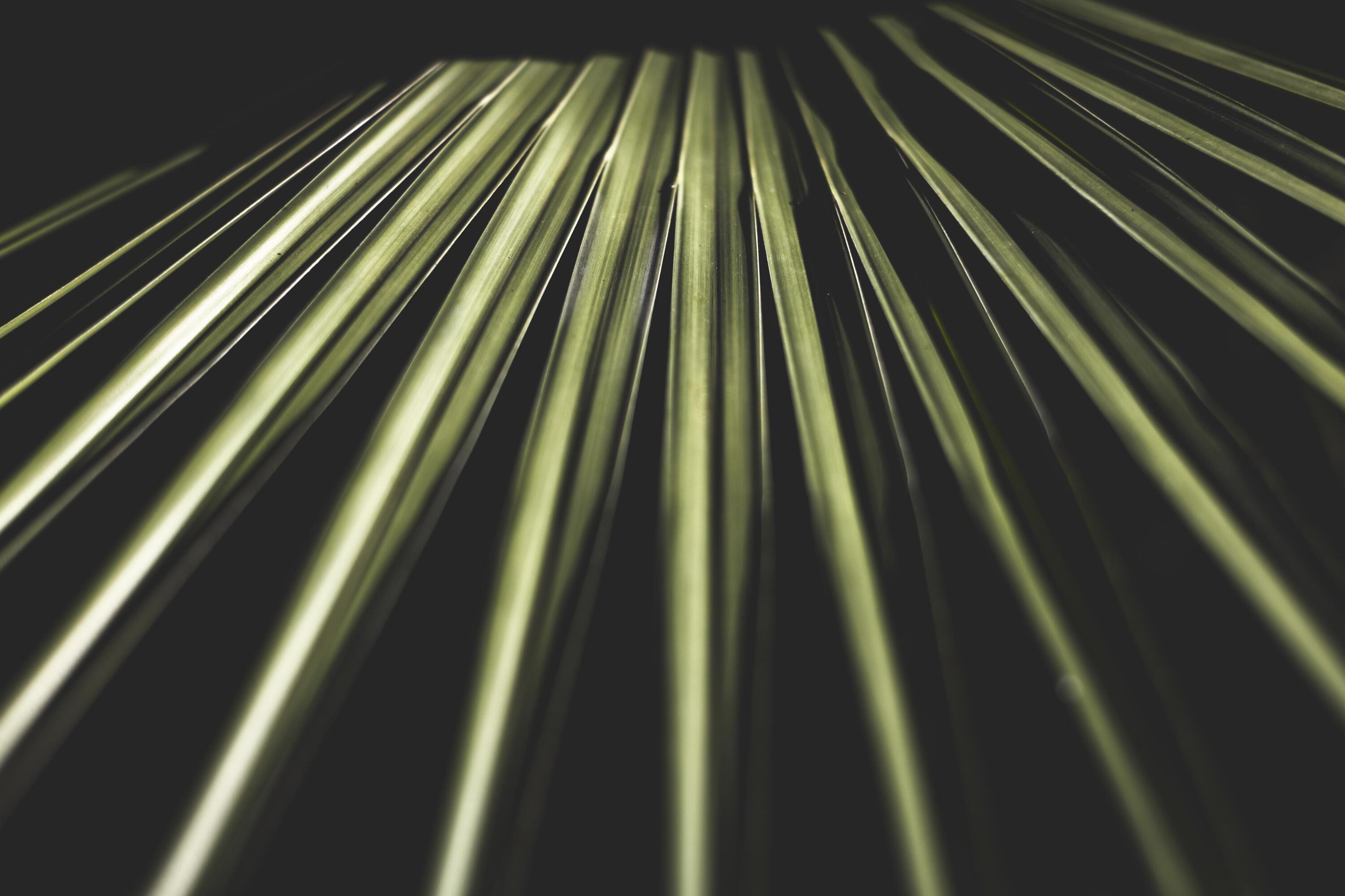 PISCES COVE 2ND ADDN - Residential