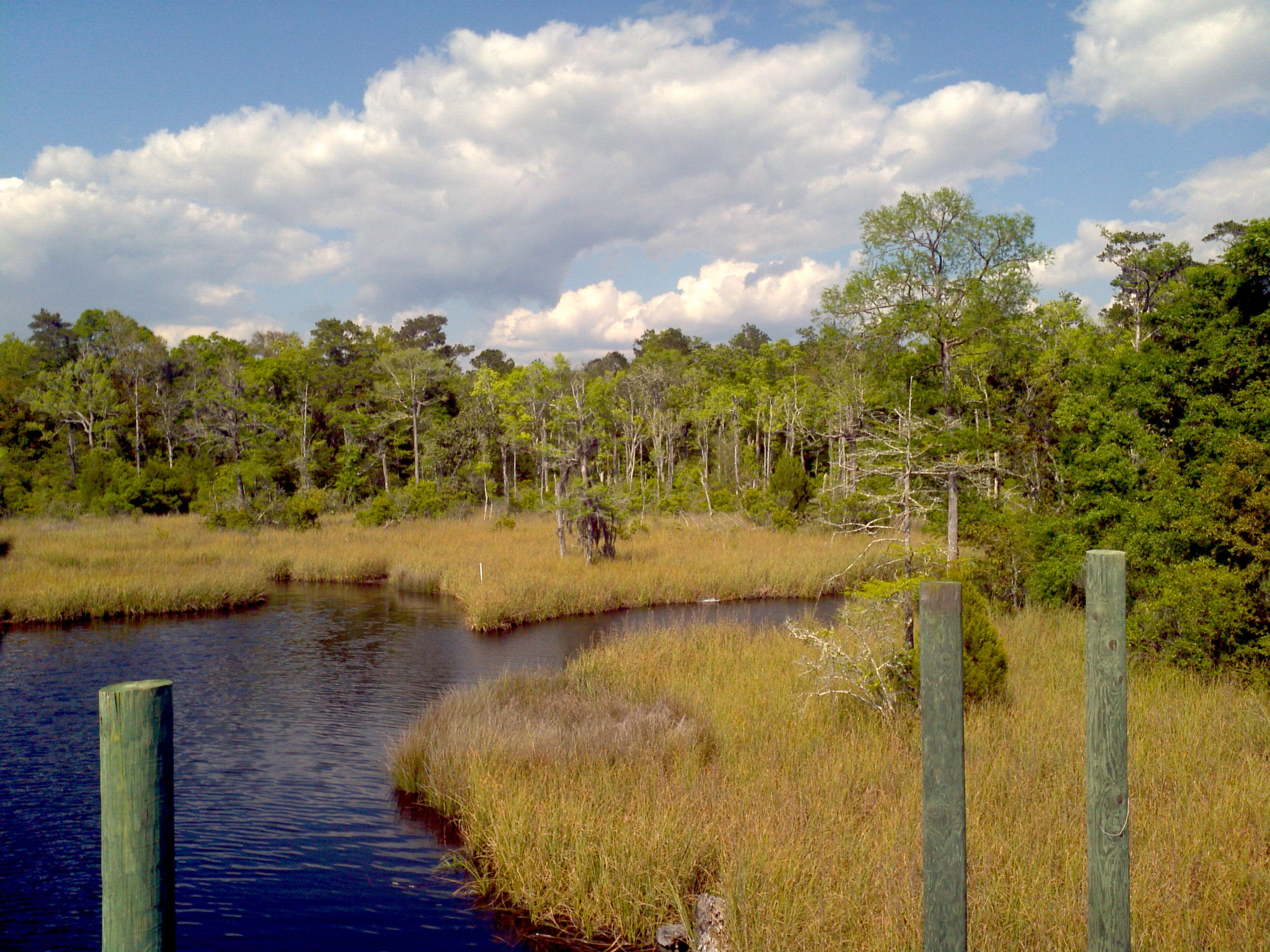 WATERVIEW COVE - Residential