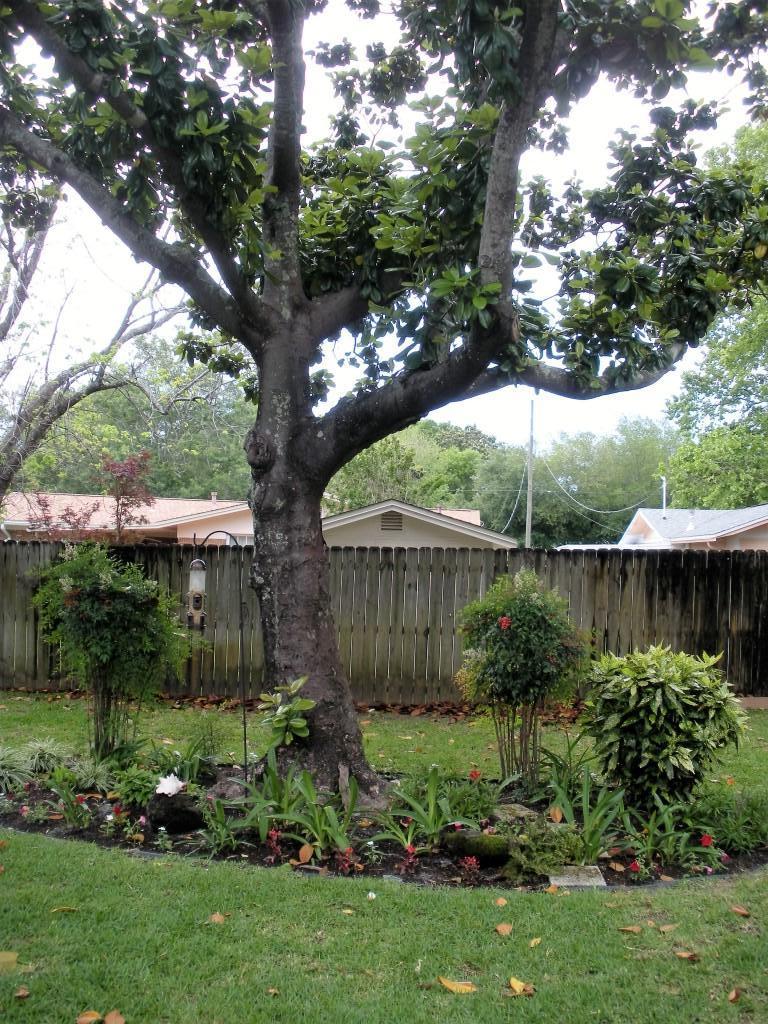 SCOTTSDALE SOUTH - Residential