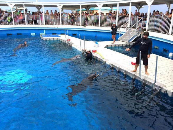 GULF DUNES CONDO - Residential