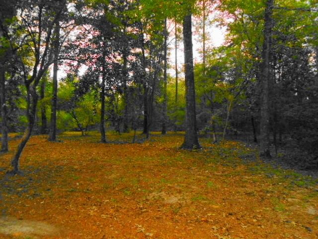 Metes and Bounds - Farm