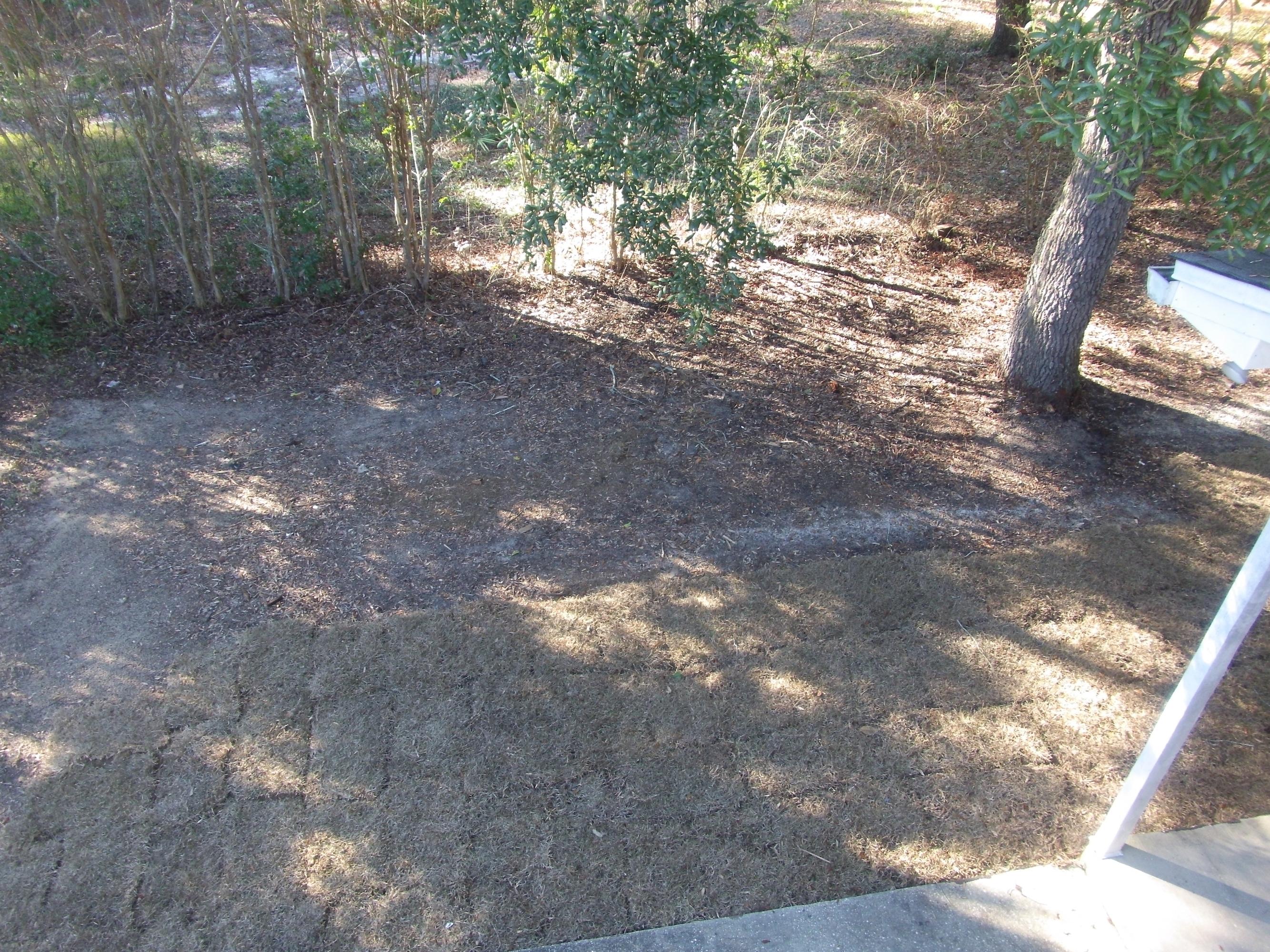 PARKWOOD ESTATES PH 2 BLUEWATER BAY - Residential