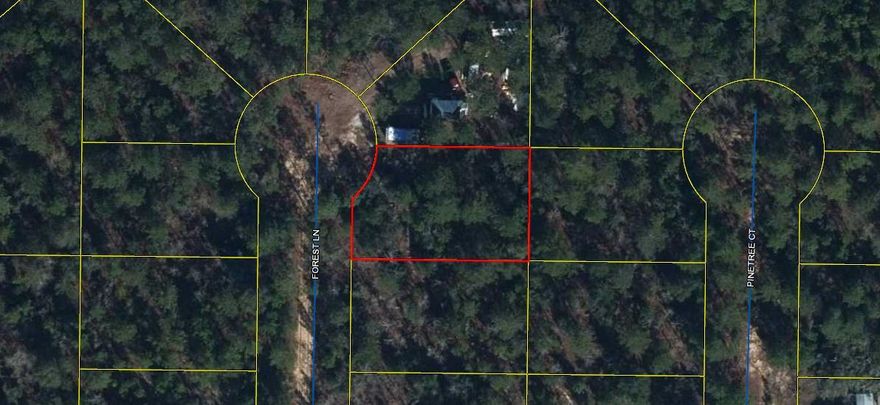 Wonderful, wooded lot just under a quarter acre. Great for building your new home or placing your manufactured home. It is located about 15 minutes from downtown DeFuniak Springs and 45 minutes from the Emerald Coast.
