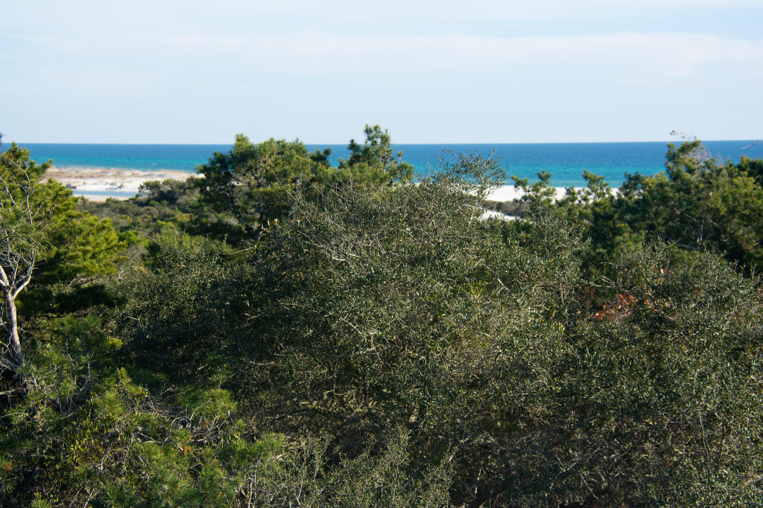 INLET BEACH - Residential