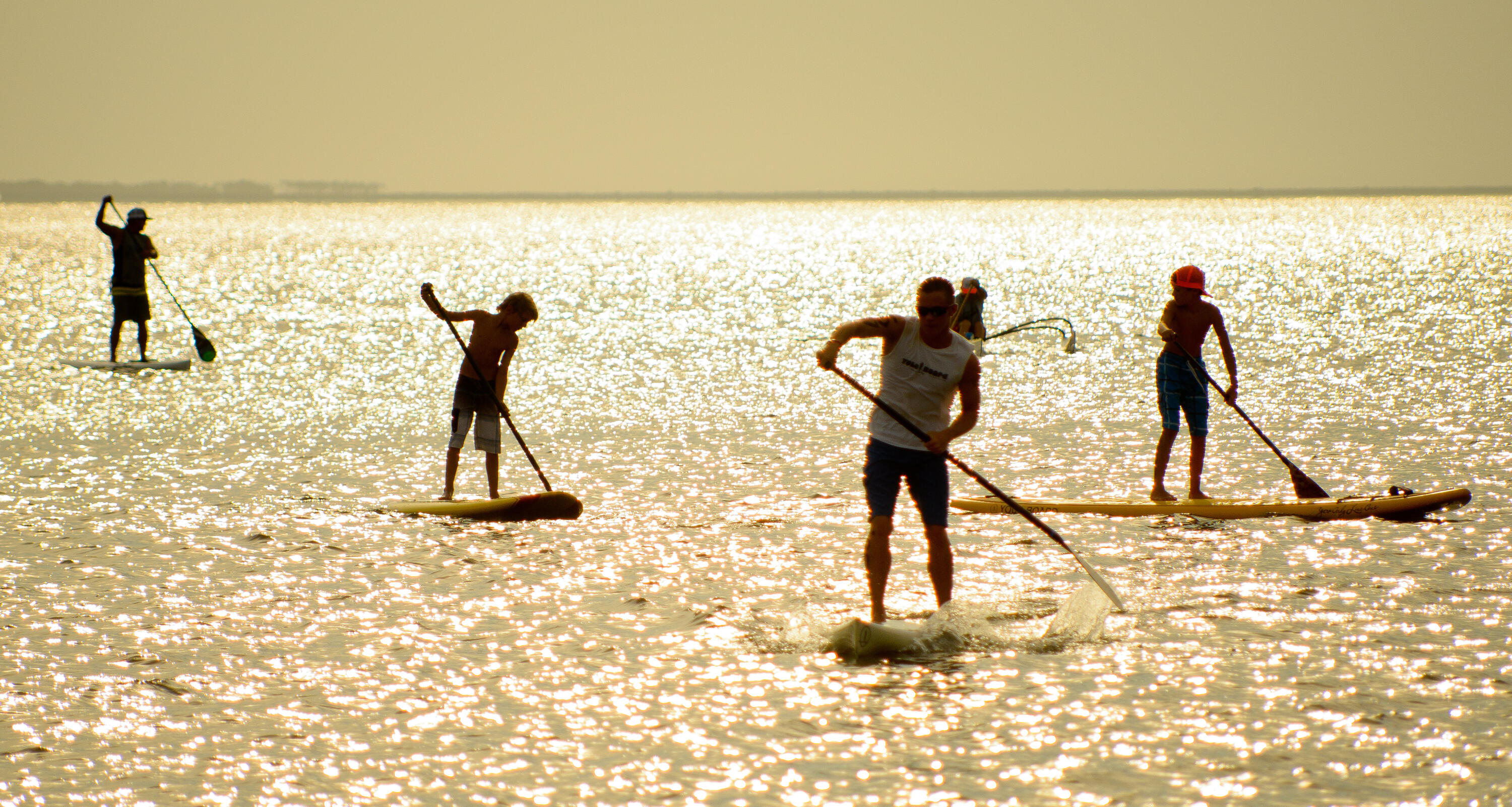 ELATION - Residential