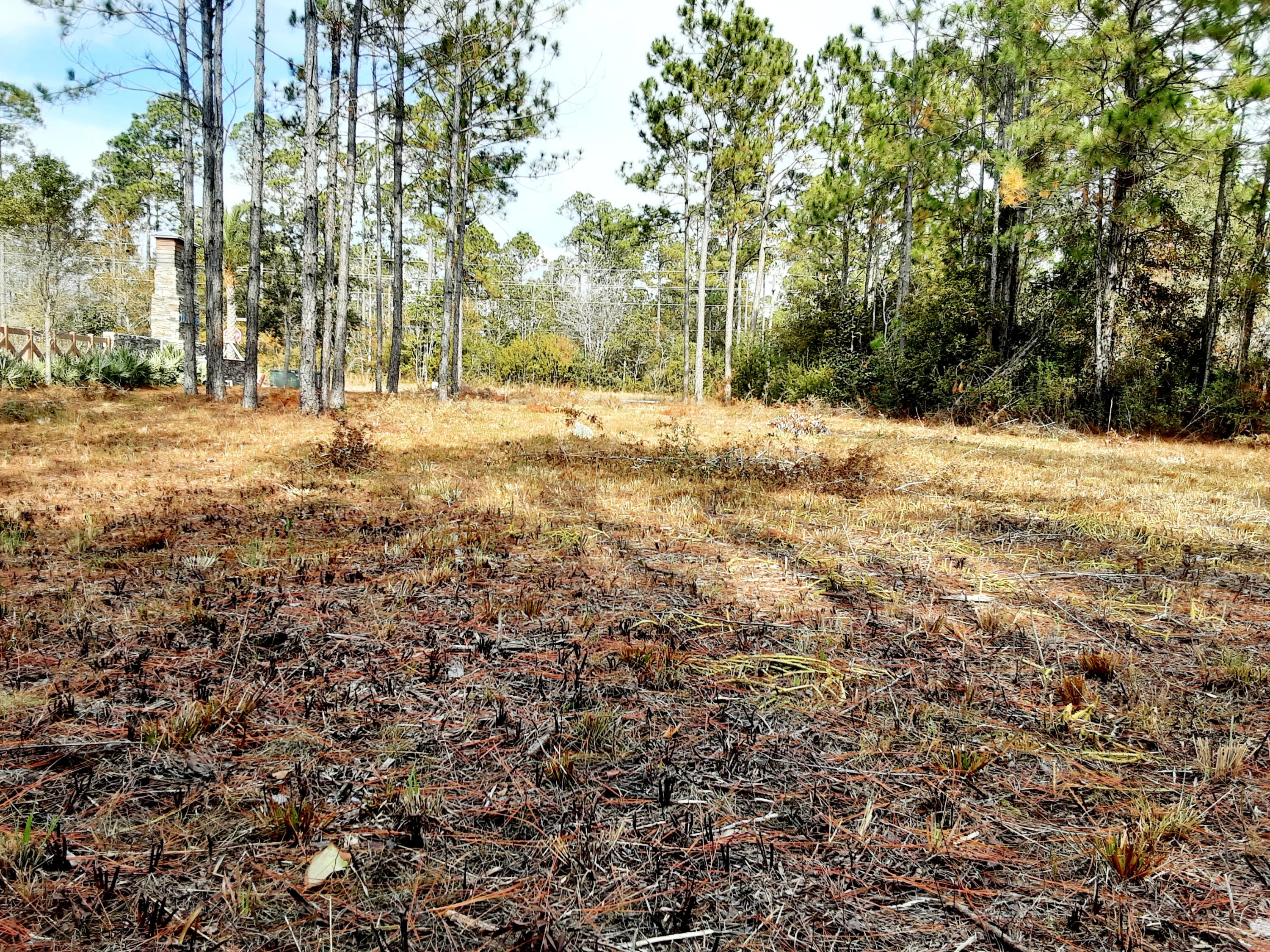ZONED X home site in the beautiful Bear Creek Subdivision, Freeport, FL.!!! Public water and sewer available. Recreational facilities for the enjoyment of owners or tenants. Short commute to our world renown white sugar sandy beaches.
