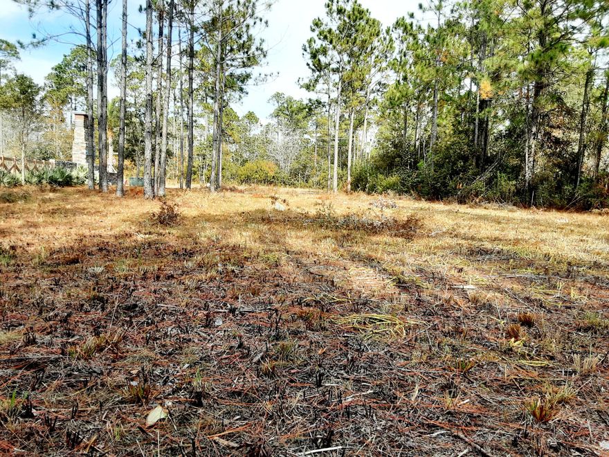 ZONED X home site in the beautiful Bear Creek Subdivision, Freeport, FL.!!!  Public water and sewer available. Recreational facilities for the enjoyment of owners or tenants. Short commute to our world renown white sugar sandy beaches.