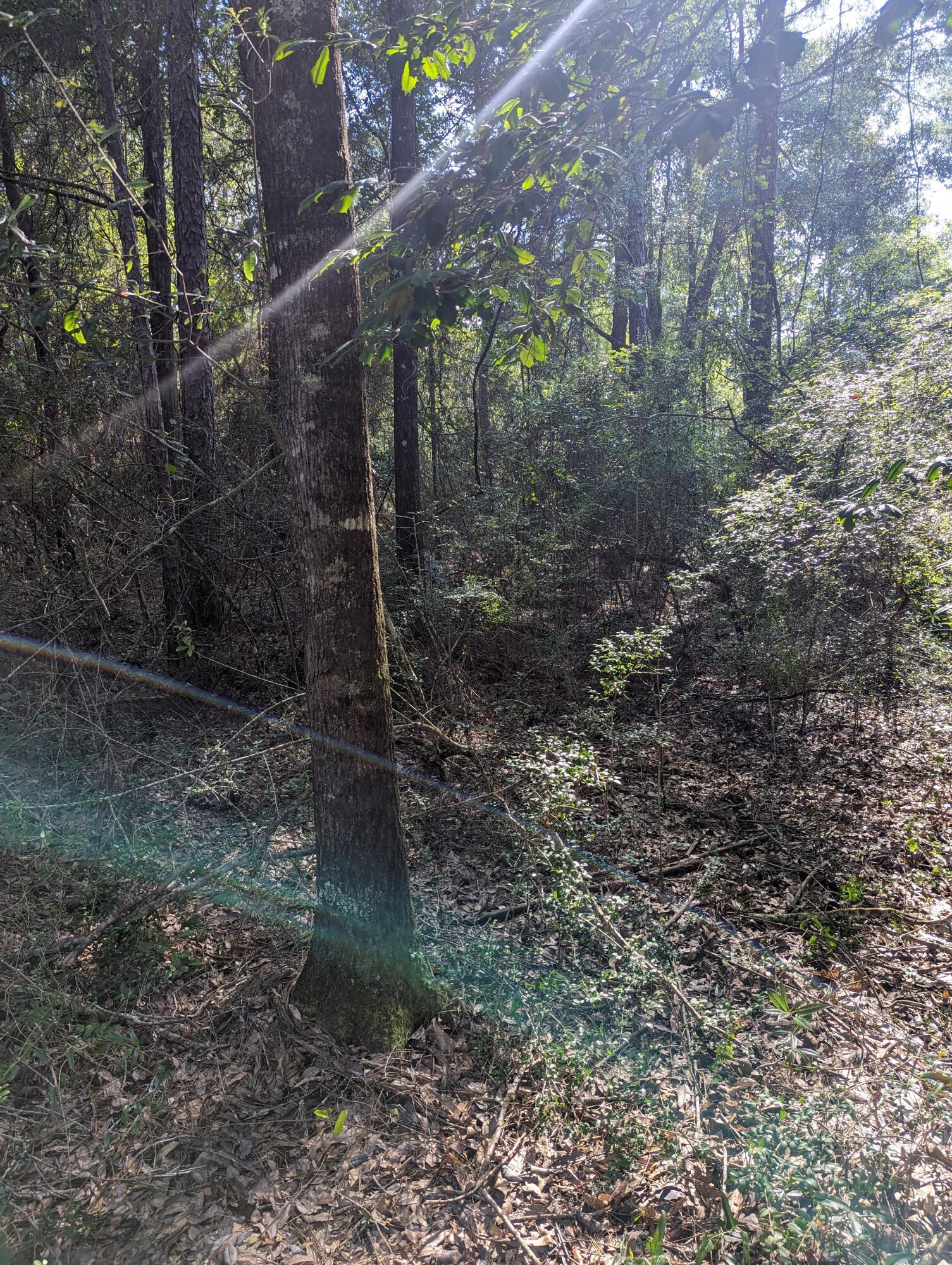 North Supergroup - Land