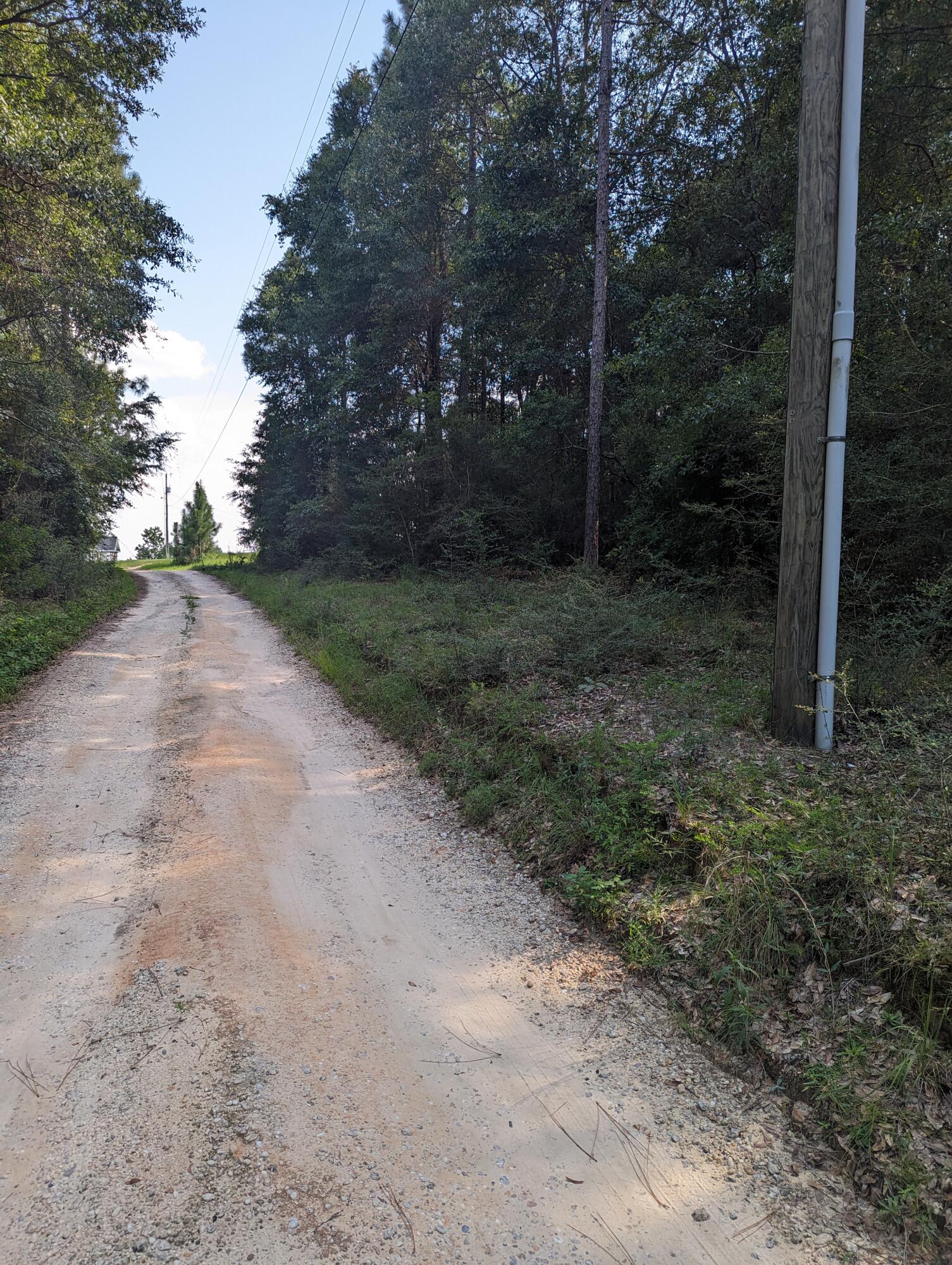 3.44+/- acres of secluded wooded property just off Lake Silver Road on a private road. This property is waiting for you to make it your very own...Property will require septic system and a well. Homes are on acreage that adjoin the property for privacy. Just a short distance to shopping centers and Post Office.