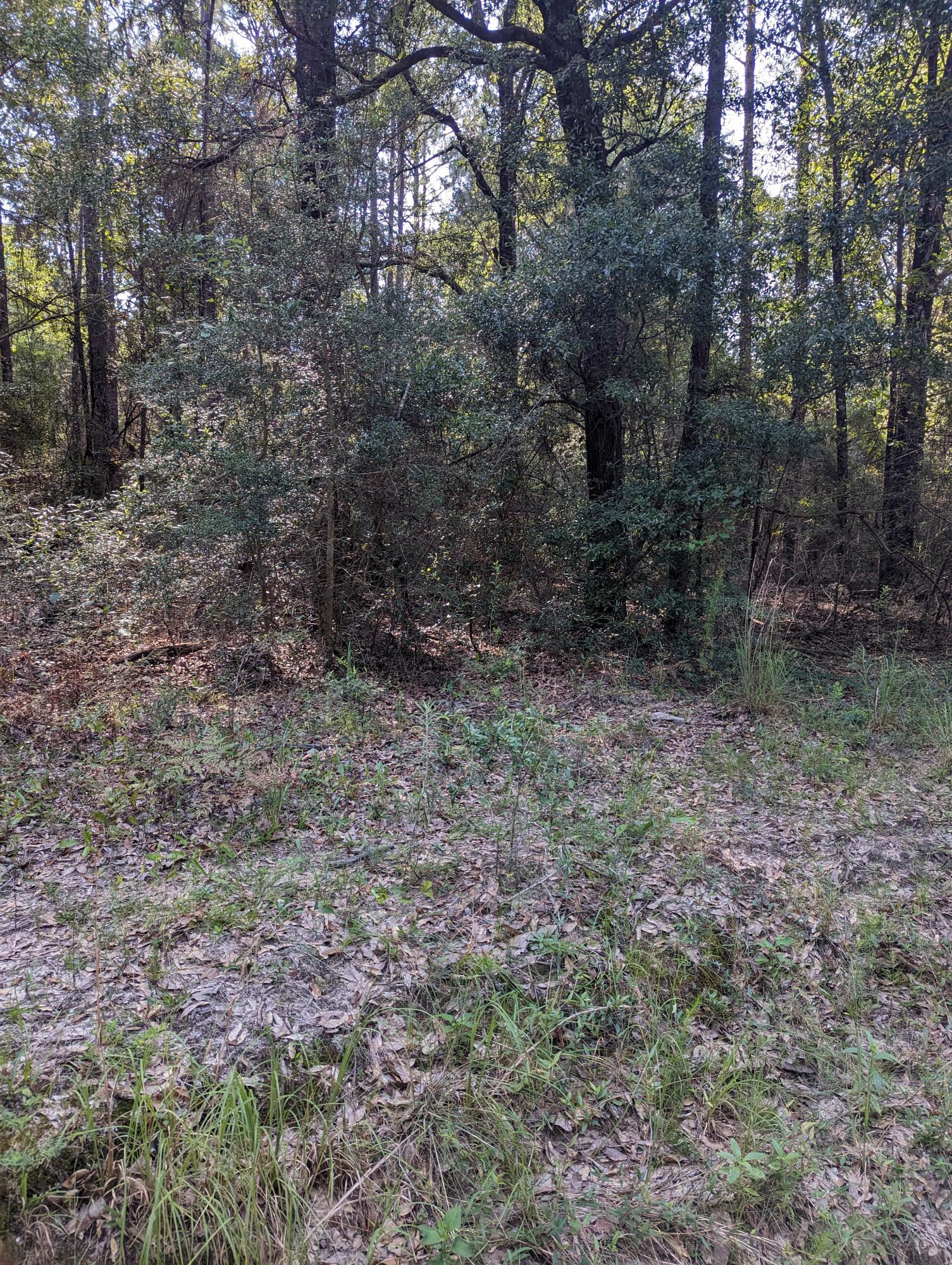 North Supergroup - Land