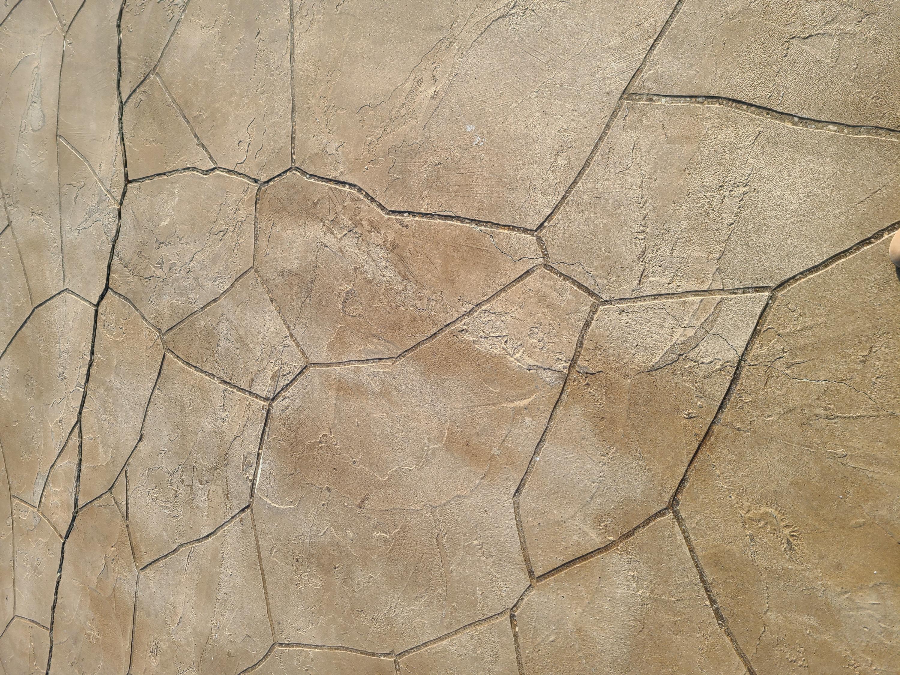 STEEPLECHASE PH 1 - Residential Lease