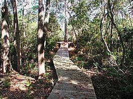 The Hammocks at Seagrove - Residential