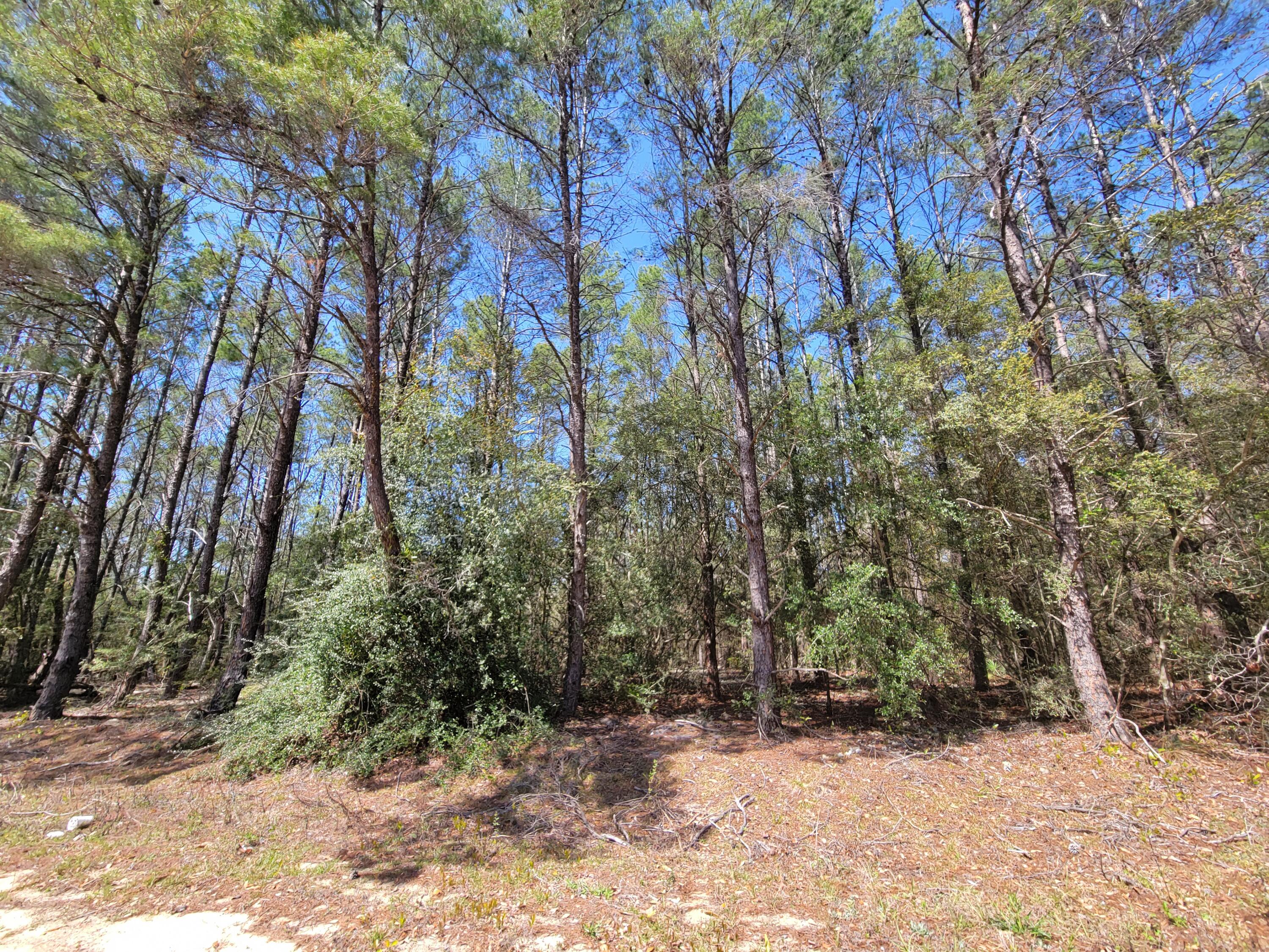 METES & BOUNDS - Land