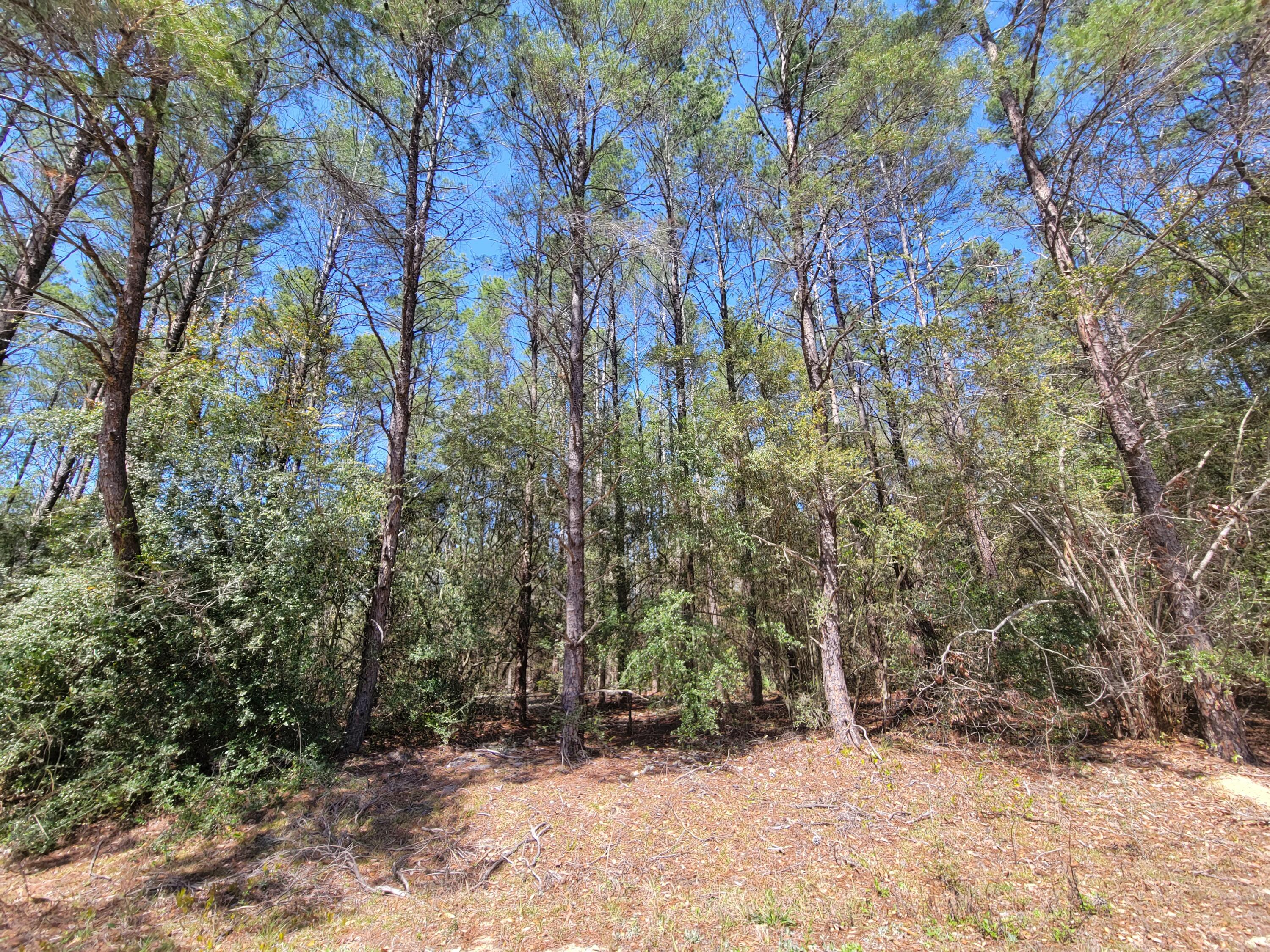 METES & BOUNDS - Land