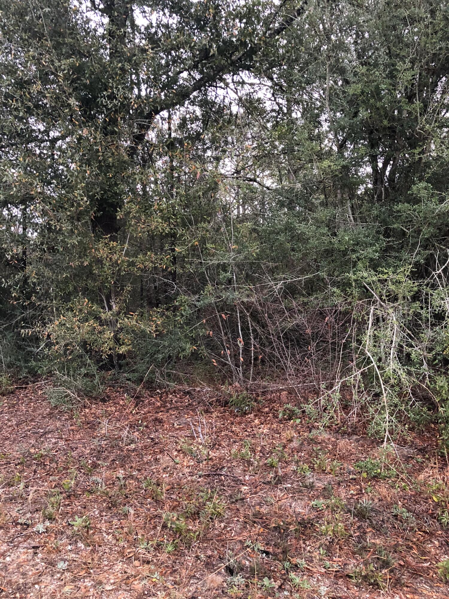 LOTS 1,2 & 3 BLK 3 OAKWOOD HILLS UNIT III BK 4-2 OR 26-65 OR 1005-213 OR 3071-2325 - Land