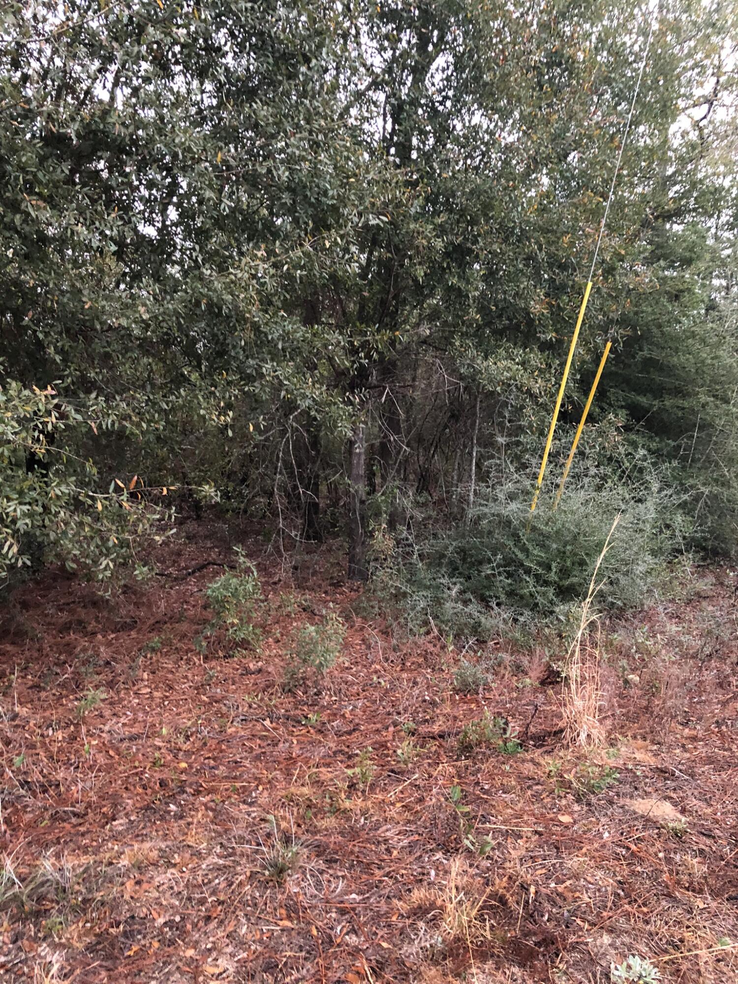 LOTS 1,2 & 3 BLK 3 OAKWOOD HILLS UNIT III BK 4-2 OR 26-65 OR 1005-213 OR 3071-2325 - Land