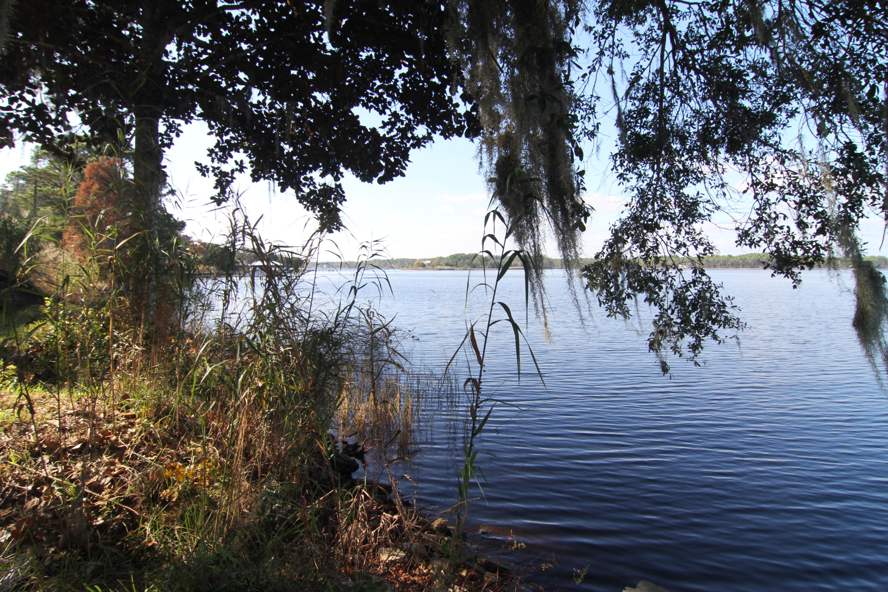 Peninsula on DEEP WATER on Mallet Bayou with 2.48 acres surrounded by Gorgeous Live Oaks and Beautiful panoramic views . Home being sold AS IS.