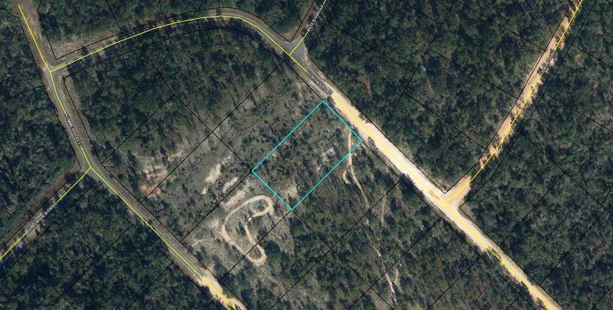 Large 1.097 acre lot in Compass Lake in the Hills. There is a voluntary HOA of $135 a year, but what a great price for all the amenities that are included such as: access to 2 lakes for fishing, tennis, horse stables / riding, rental cabins, RV spots, boat rentals, clubhouse, and a golf range. Being an all-sports lake, enjoy water skiing, tubing, jet skiing, boating, sailing, kayaking & swimming. No need to worry about lunch while out on the water when you have a boat accessible shoreline restaurant. This location is great for someone who enjoys nature and a short drive to the beach since it is located half way between Panama City And Dothan. The area is rich in historical significance, with many restored antebellum plantation homes open for tours or as bed-and-breakfast