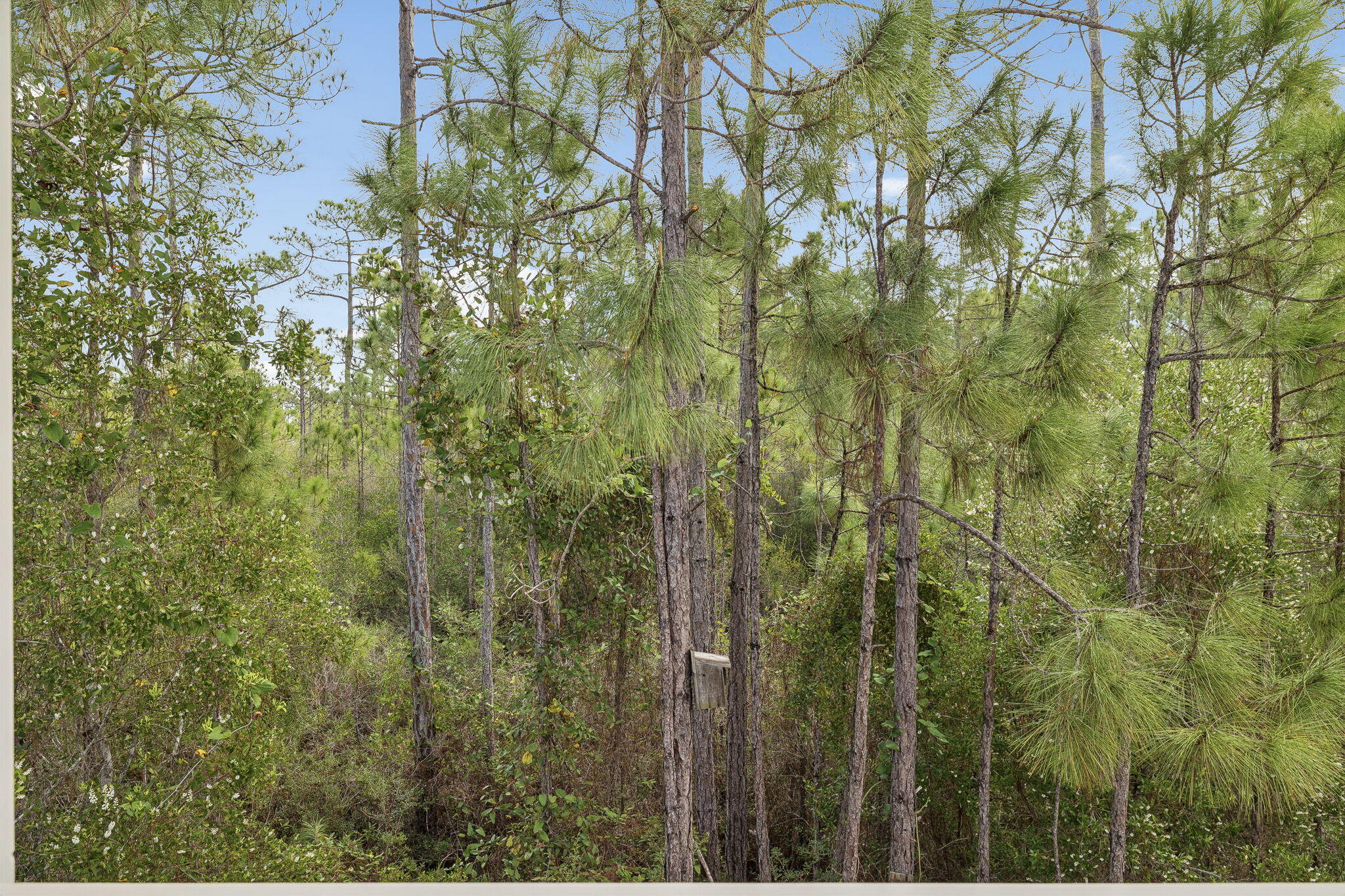 Sugar Sands Estates - Residential