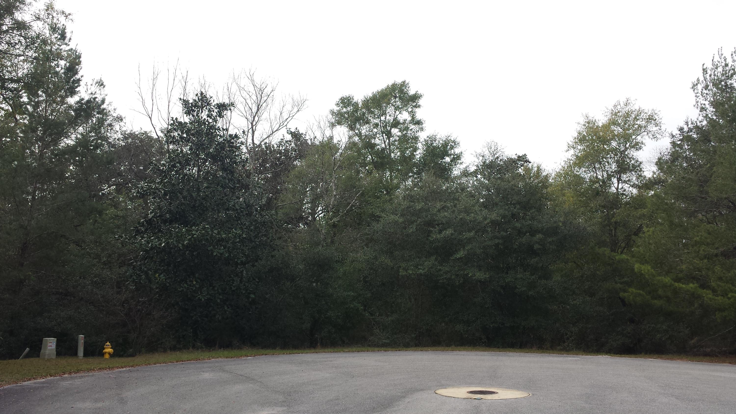 Magnolia Landing - Land