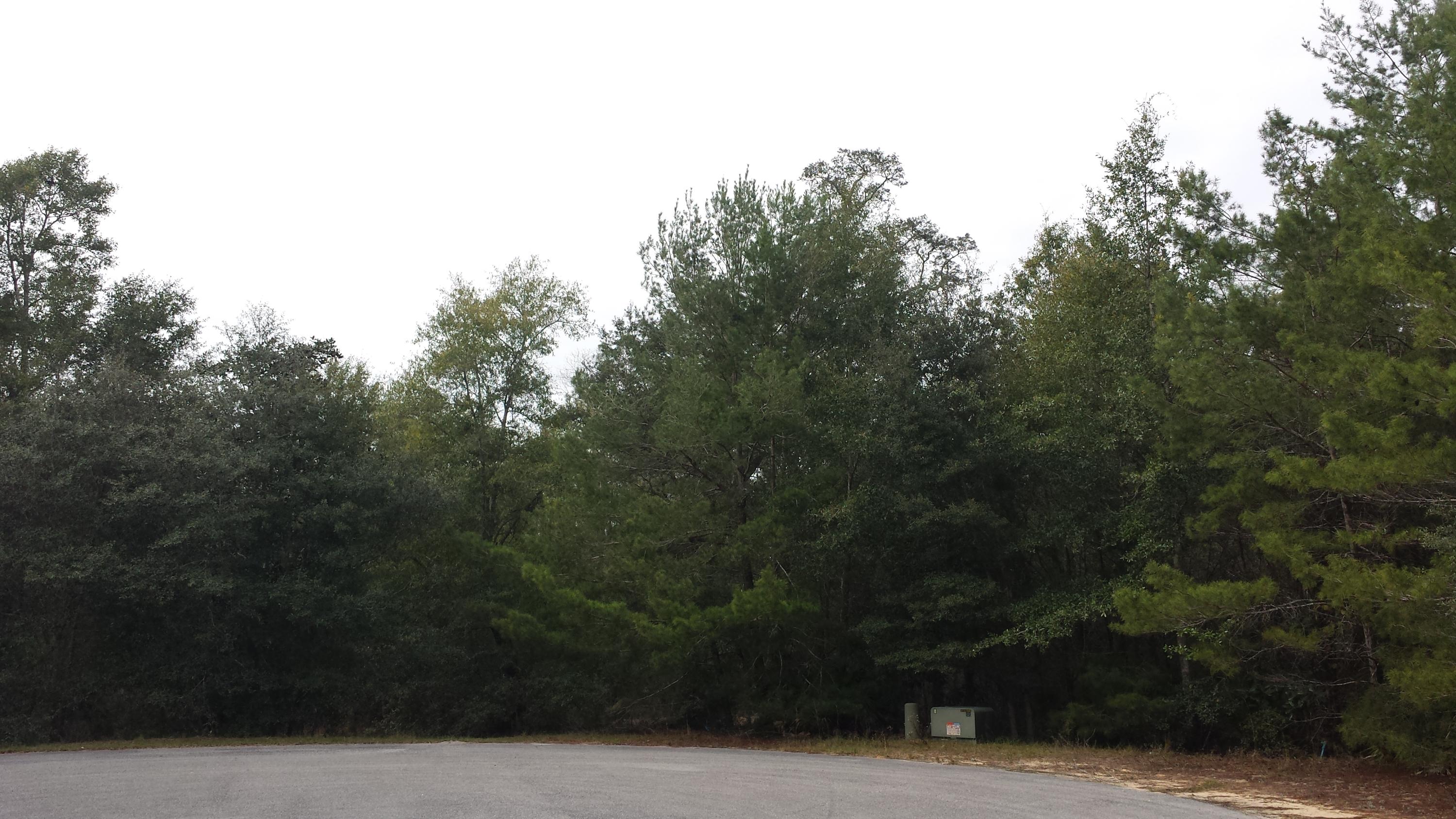 Magnolia Landing - Land