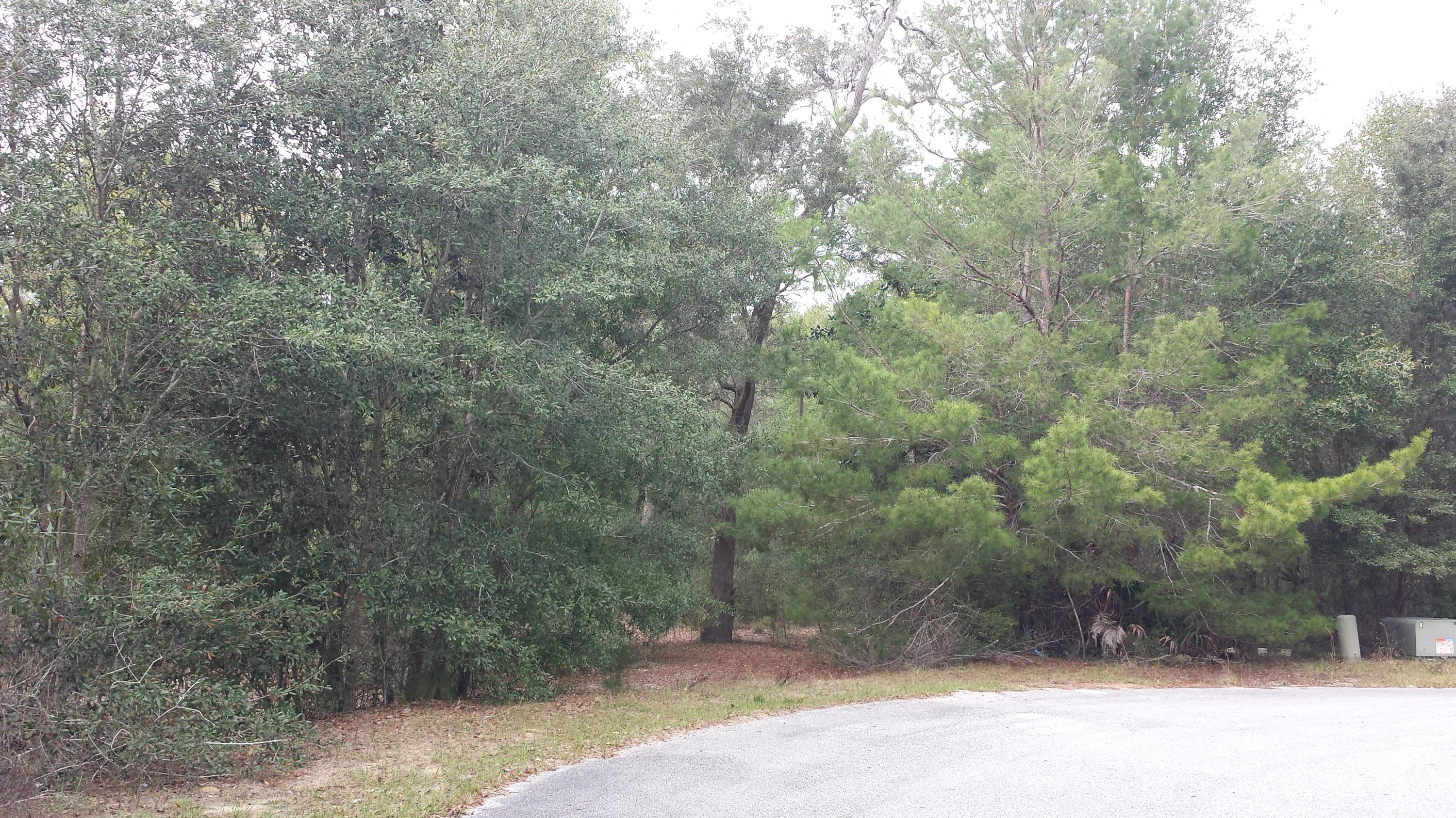 Magnolia Landing - Land