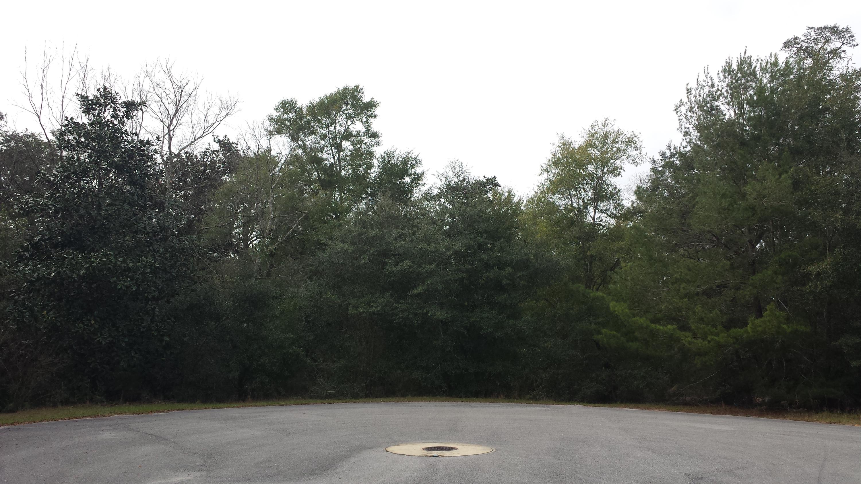 Magnolia Landing - Land