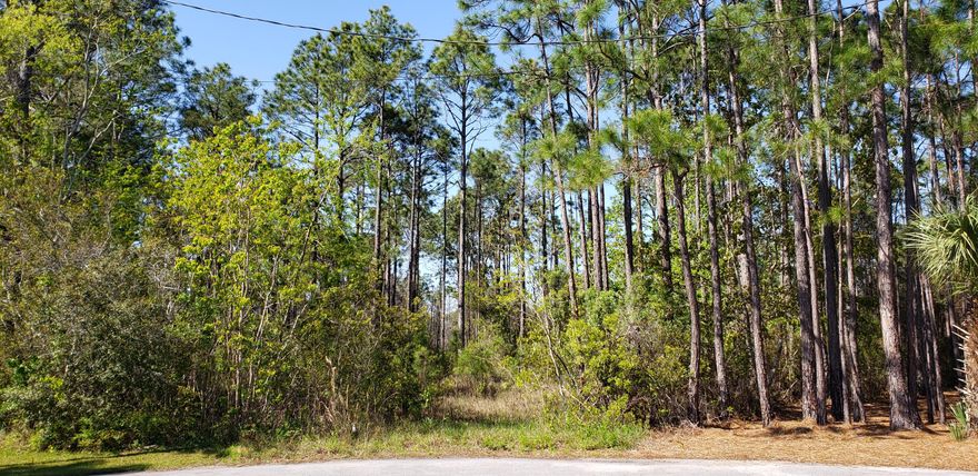 Great location in small neighborhood to build your dream home. Close access to shopping, grocery, medical, offices, schools, and entertainment. No thru traffic as the lot is on a cul-de-sac.Floor plan available.