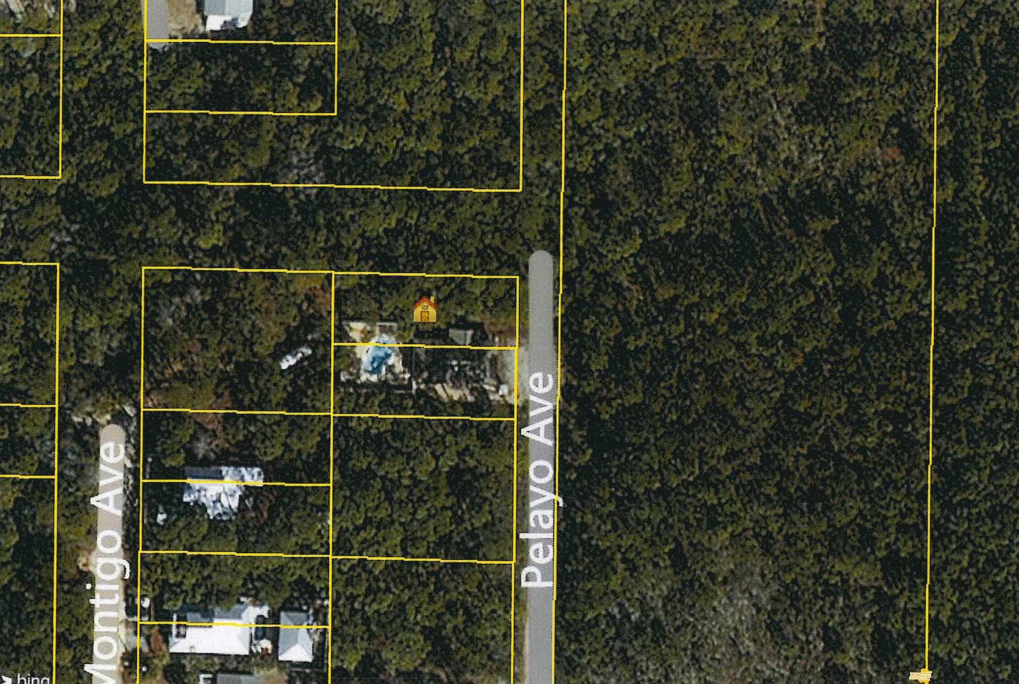 Gulf Shore Manor Lot in Seagrove. Only two blocks from beach access. Easy walk to the beach access. No HOA fees, no restrictions. Great price, seller highly motivated. Survey available and wetland study done.