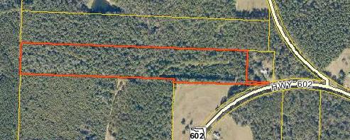 Nice parcel of land just off Hwy 602 (ingress and egress easements of record-driveway out to Hwy 602). 18.56 acres mostly wooded. There was once a mobile home on the property but it is gone (you can see where it was on the aerial photo) and seller says a septic tank was in place and water and electricity available. Survey is in docs section of listing.