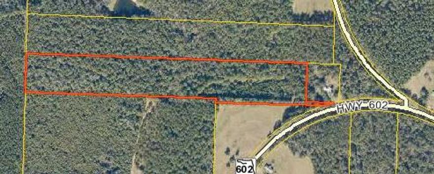 Nice parcel of land just off Hwy 602 (ingress and egress easements of record-driveway out to Hwy 602). 18.56 acres mostly wooded. There was once a mobile home on the property but it is gone (you can see where it was on the aerial photo) and seller says a septic tank was in place and water and electricity available. Survey is in docs section of listing.