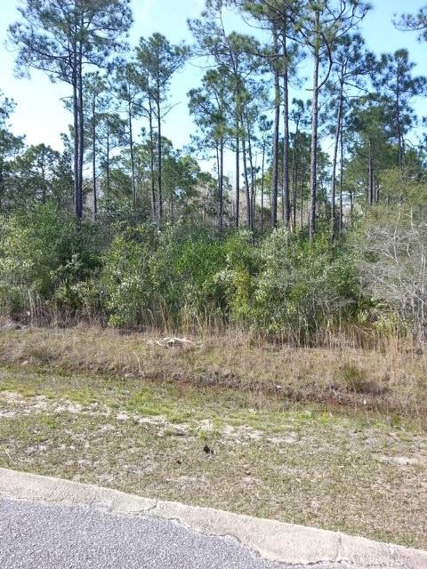 FANTASTIC Lot on paved road in Holley by the Sea.