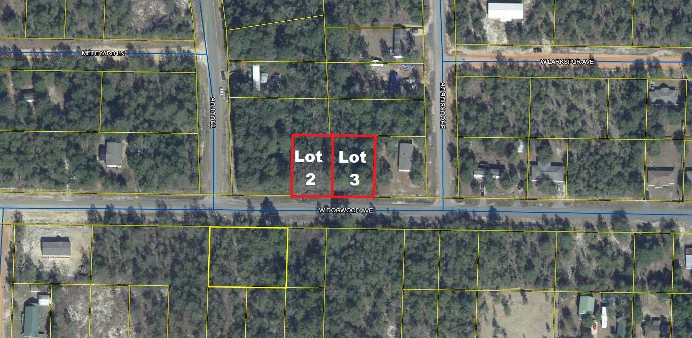 2 apx. 1/4 acre ac lots on W Dogwood Ave. Great location in growing Mossy Head. Mobile/manufactured homes allowed. Public water is available through Mossy Head Water Works (tap fee not paid); Power available on street; Septic would be required.