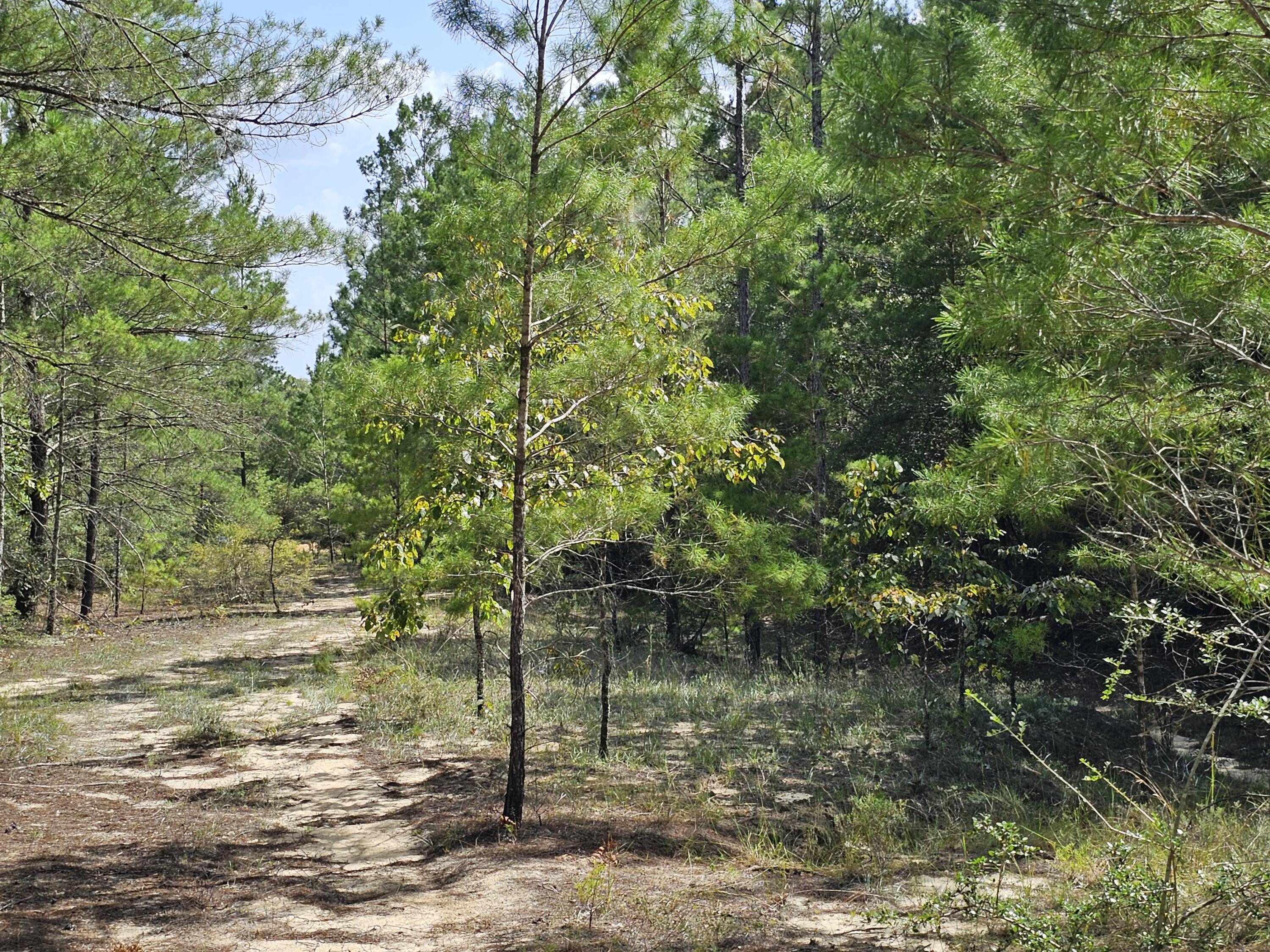 WOODLANDS OF CLEAR CREEK, UNRECORDED - Land