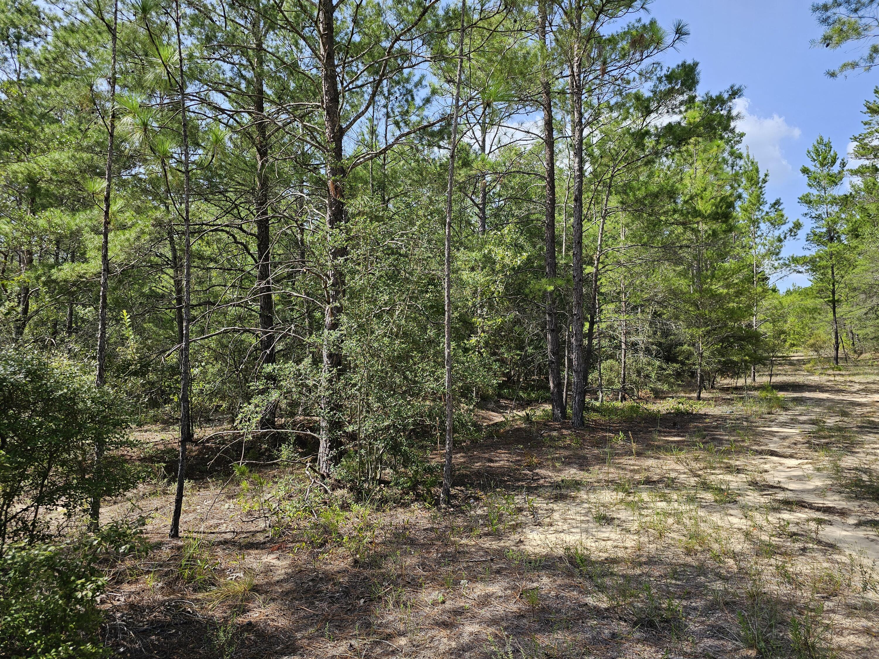 1.75 Acres of lightly wooded, level land just waiting for your new homestead! No HOA! Power is installed on property already!! This lot is on north end of Crestview, but still just a short drive from schools, shopping, hospital and restaurants. Located on a private road where you can find your peace and tranquility! Land is very level and has consistent light vegetation throughout-small trees, bushes, etcZoning Rural Residential****There is a 2022 Forest River Vibe RV for sale as well, for an additional $35k. Pics and Specs in Photos. Make it a package deal with a nice RV to stay in while you are building!!