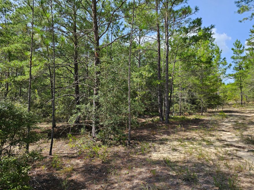 1.75 Acres of lightly wooded, level land just waiting for your new homestead!  No HOA!  Power is installed on property already!!  This lot is on north end of Crestview, but still just a short drive from schools, shopping, hospital and restaurants.  Located on a private road where you can find your peace and tranquility! Land is very level and has consistent light vegetation throughout-small trees, bushes, etcZoning Rural Residential****There is a 2022 Forest River Vibe RV for sale as well, for an additional $35k.  Pics and Specs in Photos.  Make it a package deal with a nice RV to stay in while you are building!!