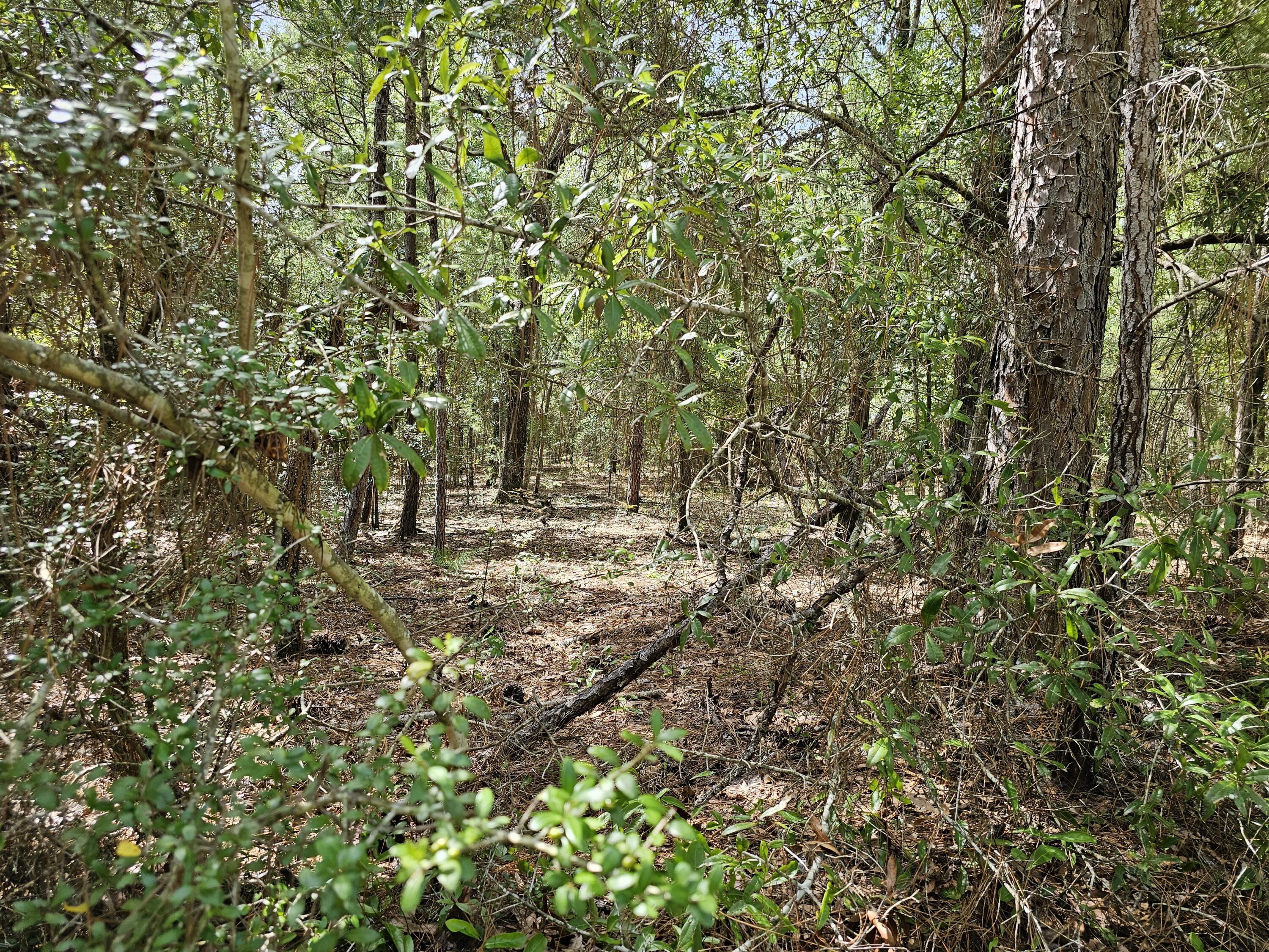 WOODLANDS OF CLEAR CREEK, UNRECORDED - Land