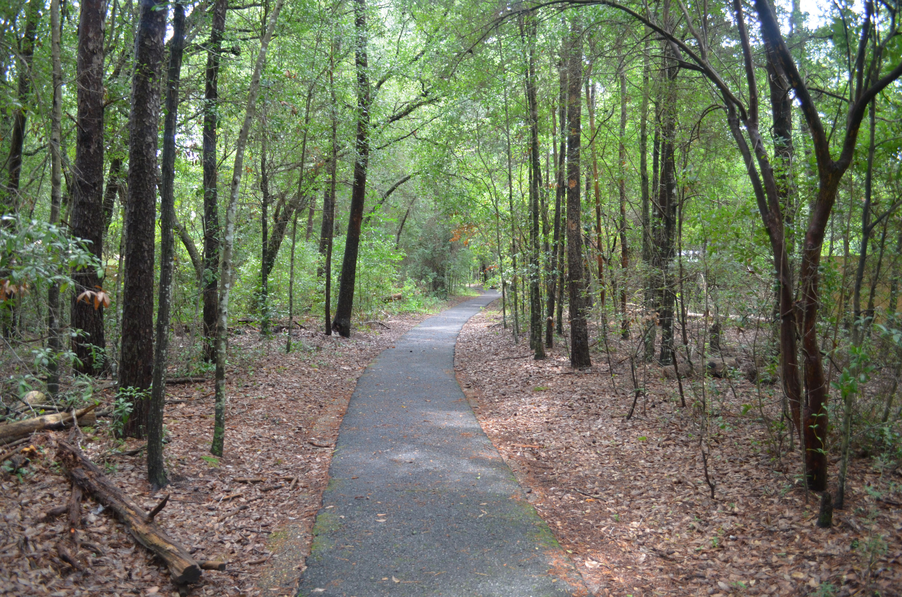 BLUEWATER BAY VILLAGE - Residential