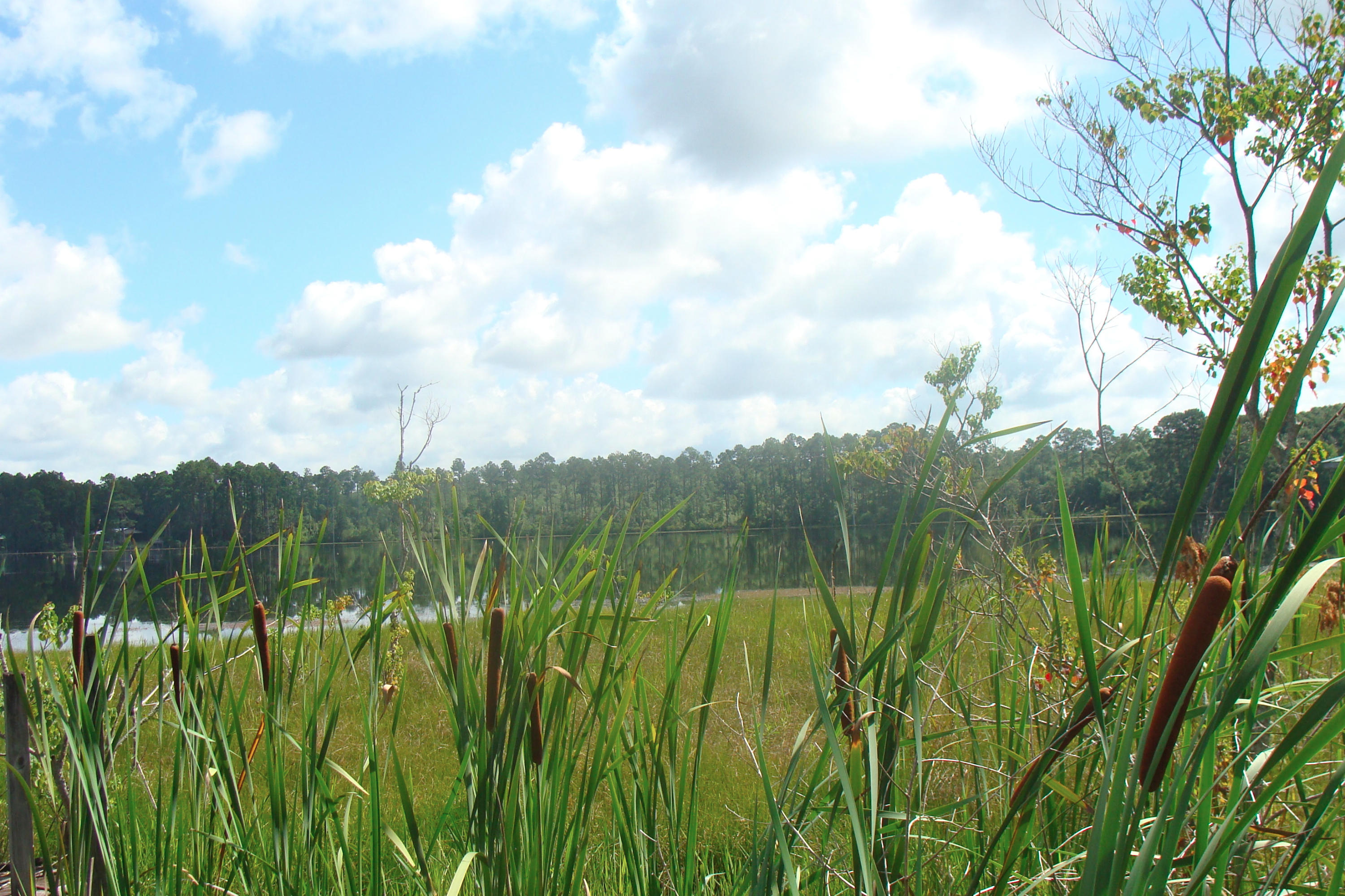 JUNIPER EAST 3RD ADDN UNREC - Residential