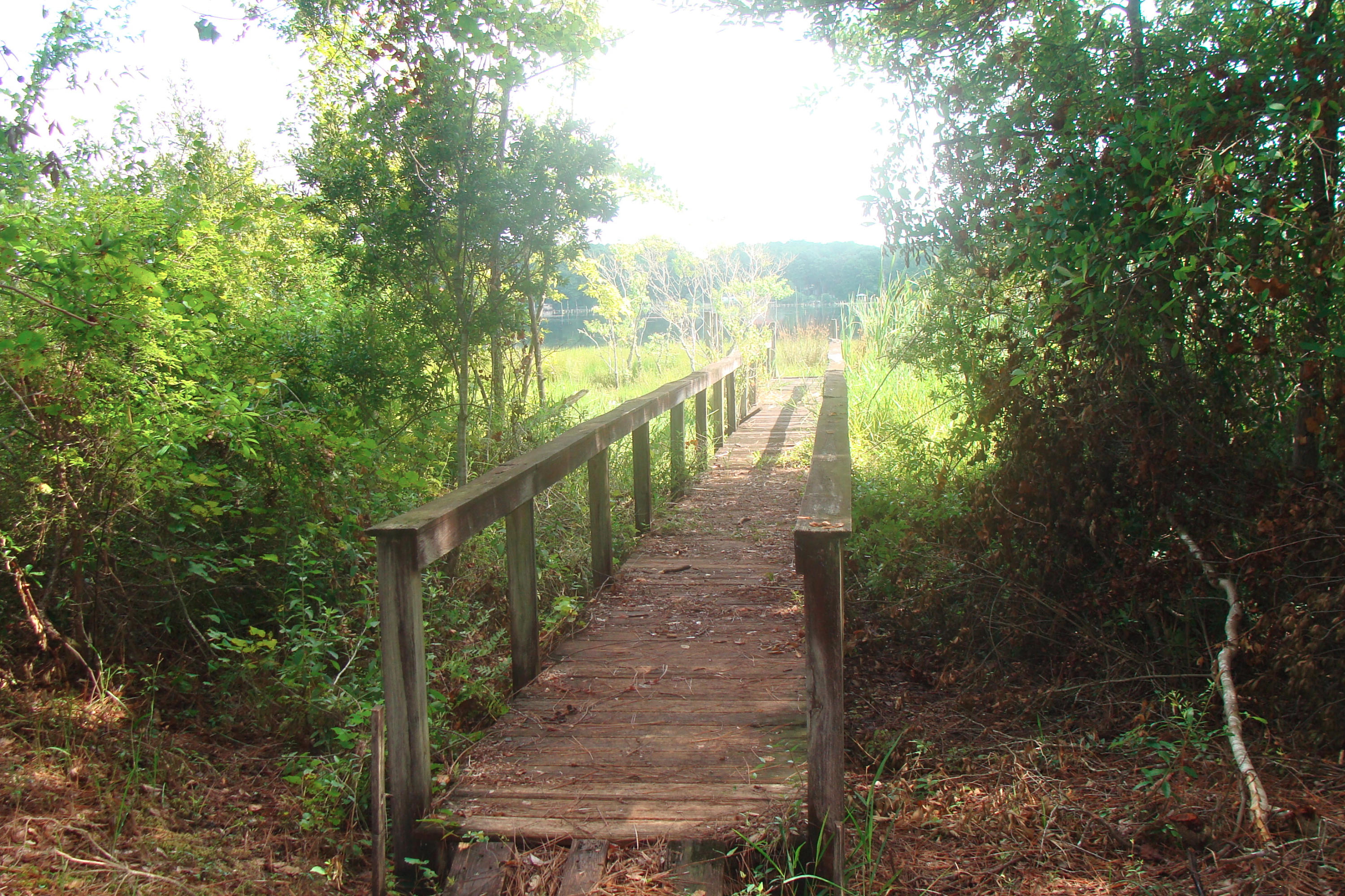 JUNIPER EAST 3RD ADDN UNREC - Residential